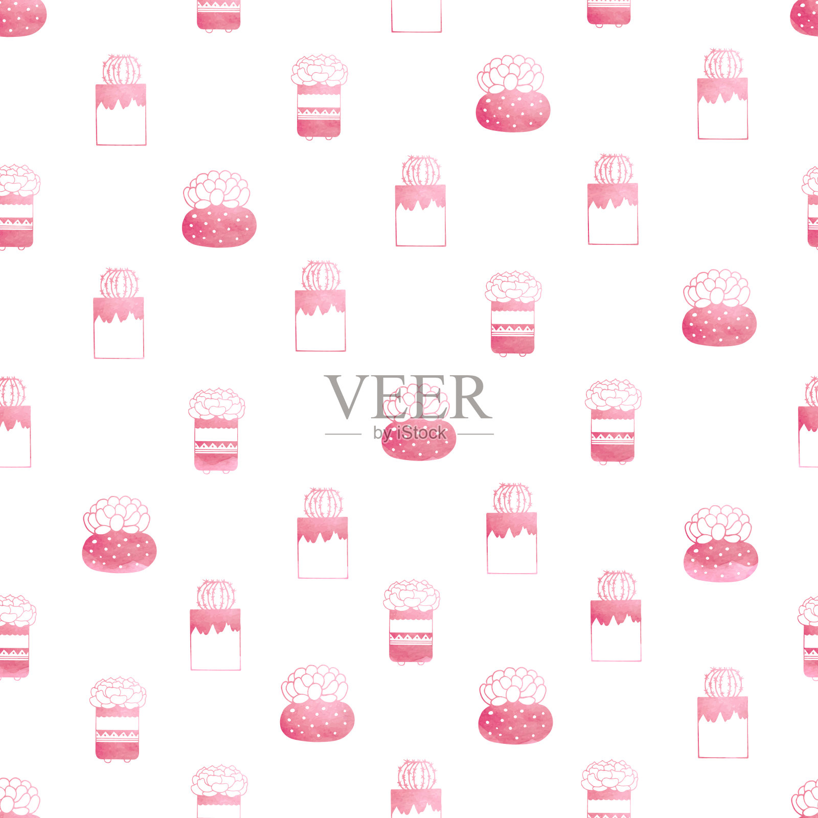 多肉植物和仙人掌画成水彩画插画图片素材