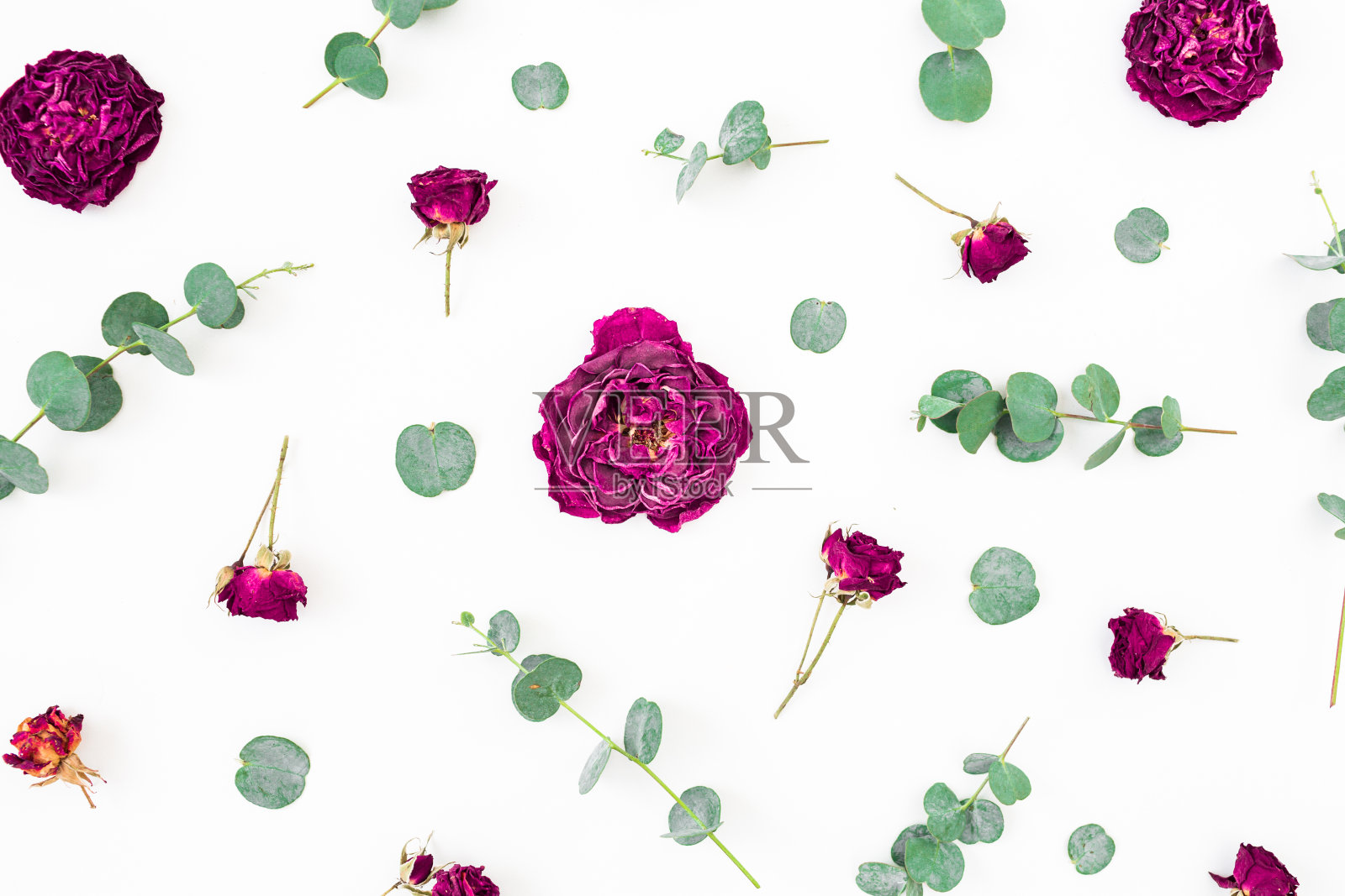 红色的花和桉树的枝在白色的背景。平躺，俯视图。照片摄影图片