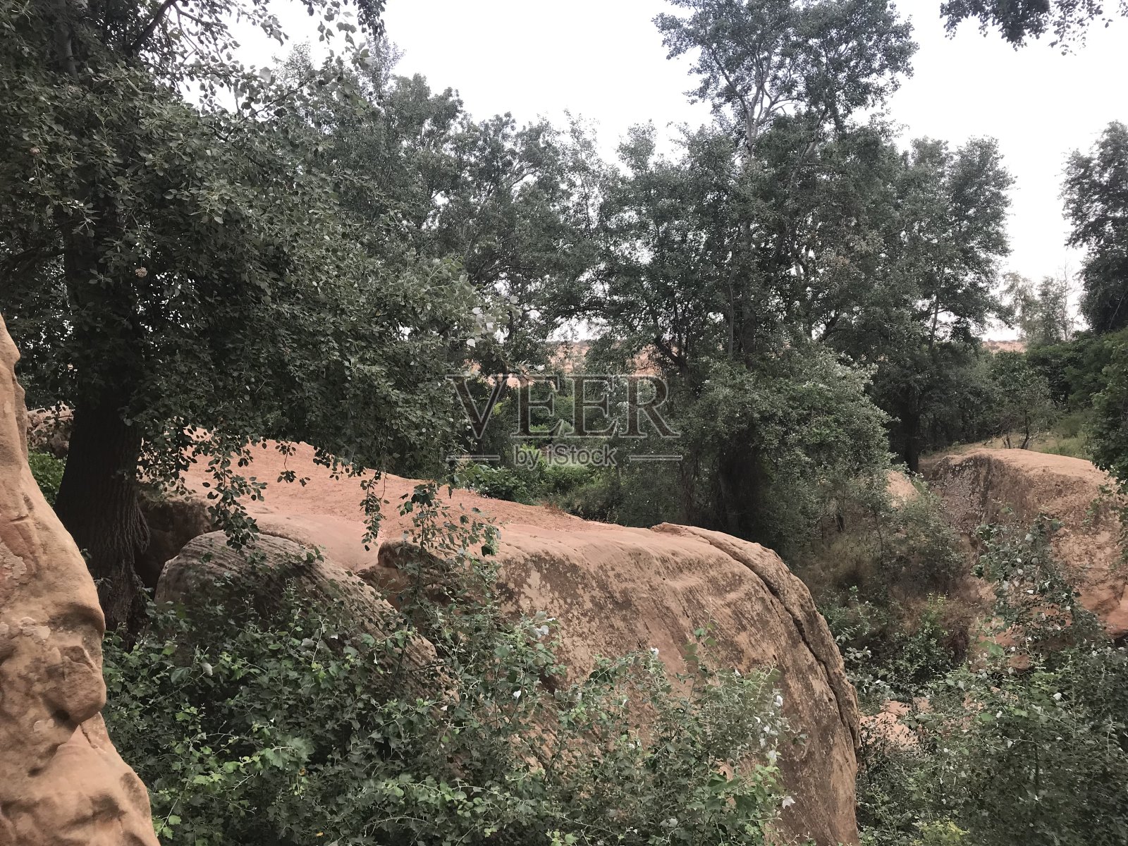 恩福斯·拉古亚特照片摄影图片