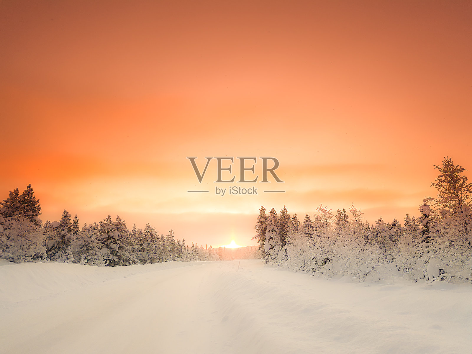 冬季景观中的旭日照片摄影图片