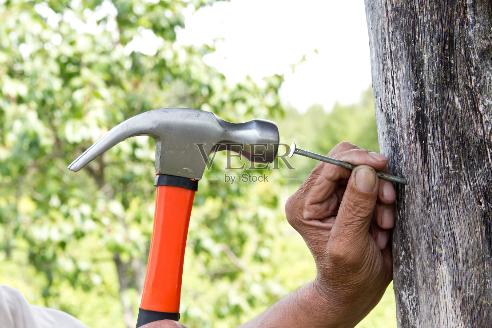 用锤子钉钉子。年长的工人木匠照片摄影图片