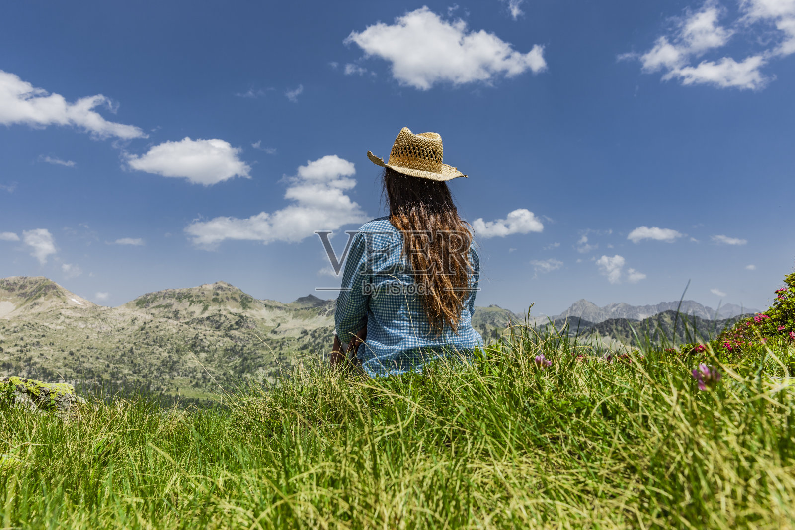 戴草帽的女人坐在高山玫瑰中间照片摄影图片