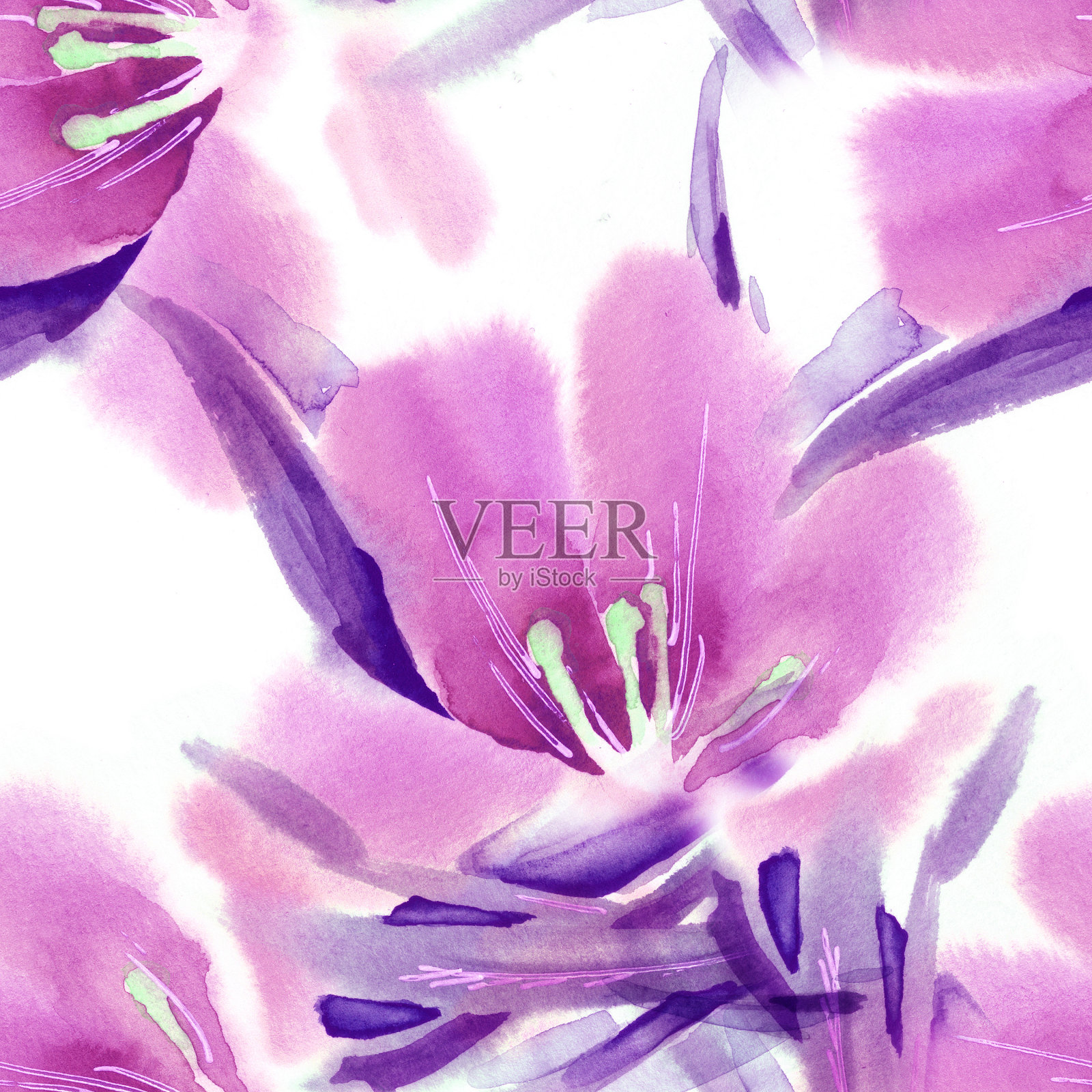 花卉无缝模式。插画图片素材