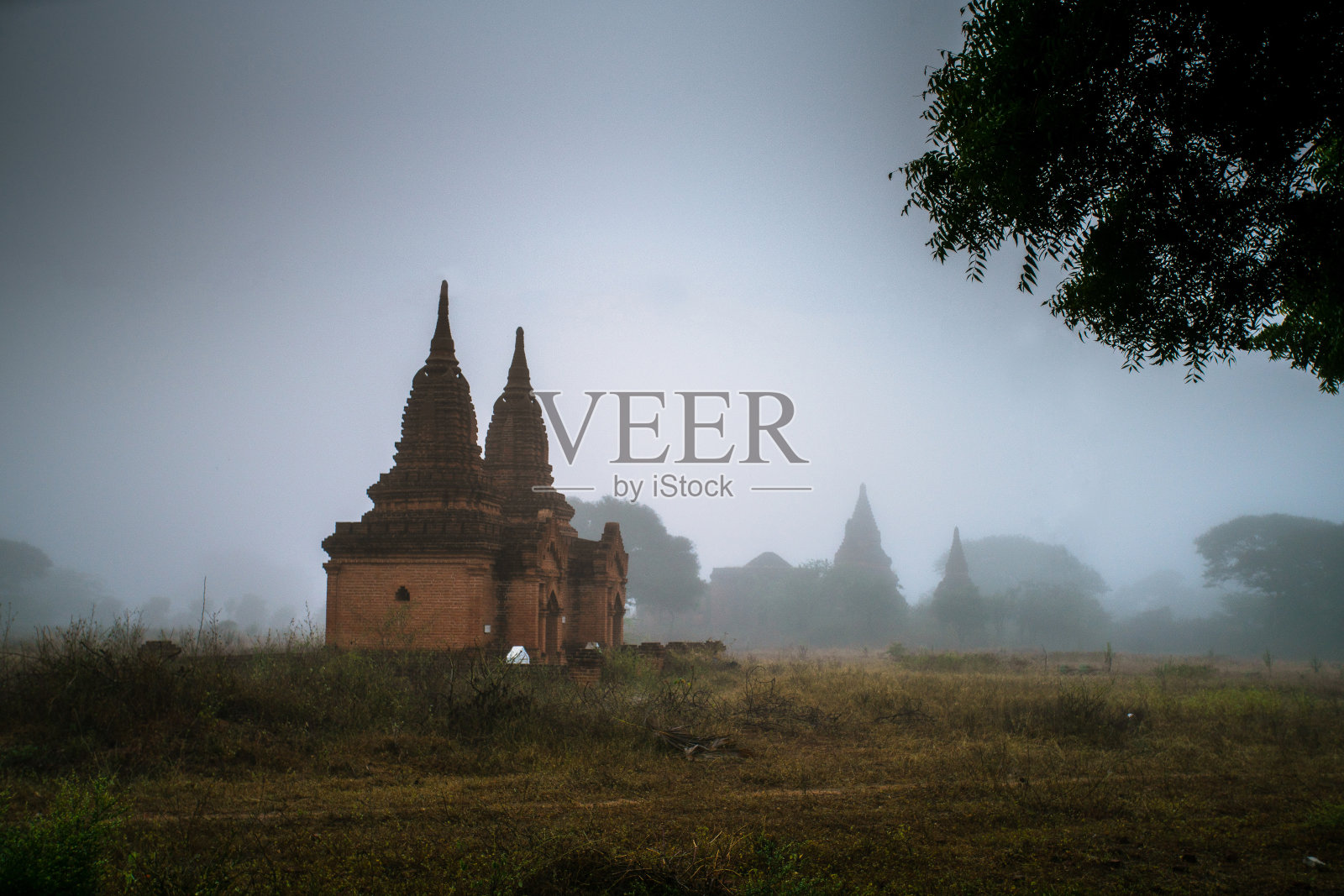 图表照片摄影图片