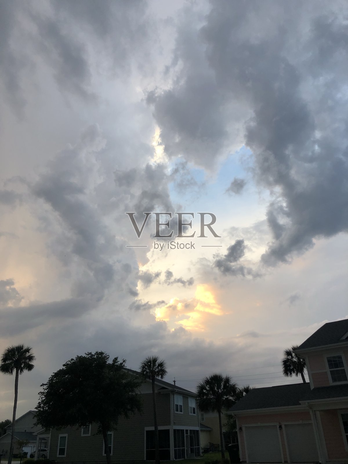 阳光躲躲猫照片摄影图片