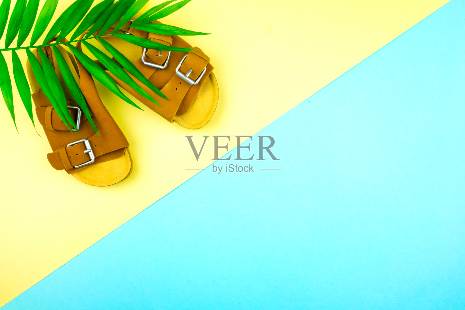 凉鞋和一束棕榈树，背景是时髦的黄蓝色。照片摄影图片