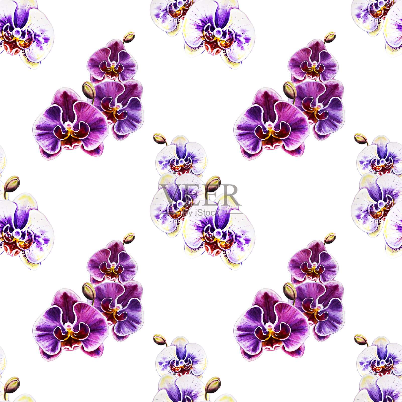 无缝图案从兰花花。水彩画。外来植物。印花。植物成分。婚礼和生日。问候纹理。插画图片素材