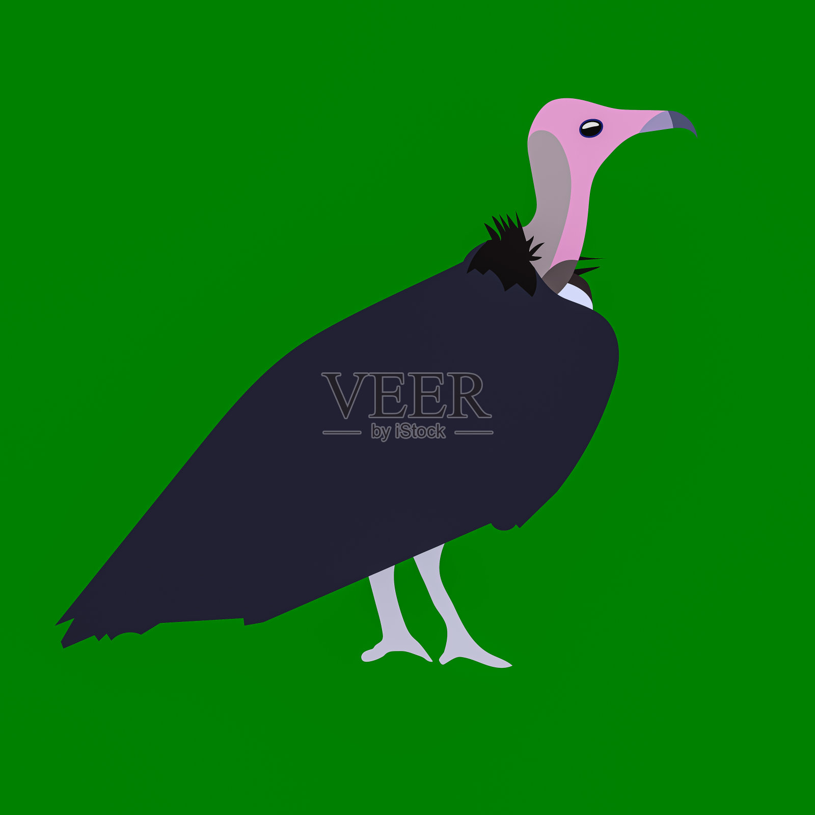 作为一种或图标使用的非洲秃鹰的图解设计元素图片