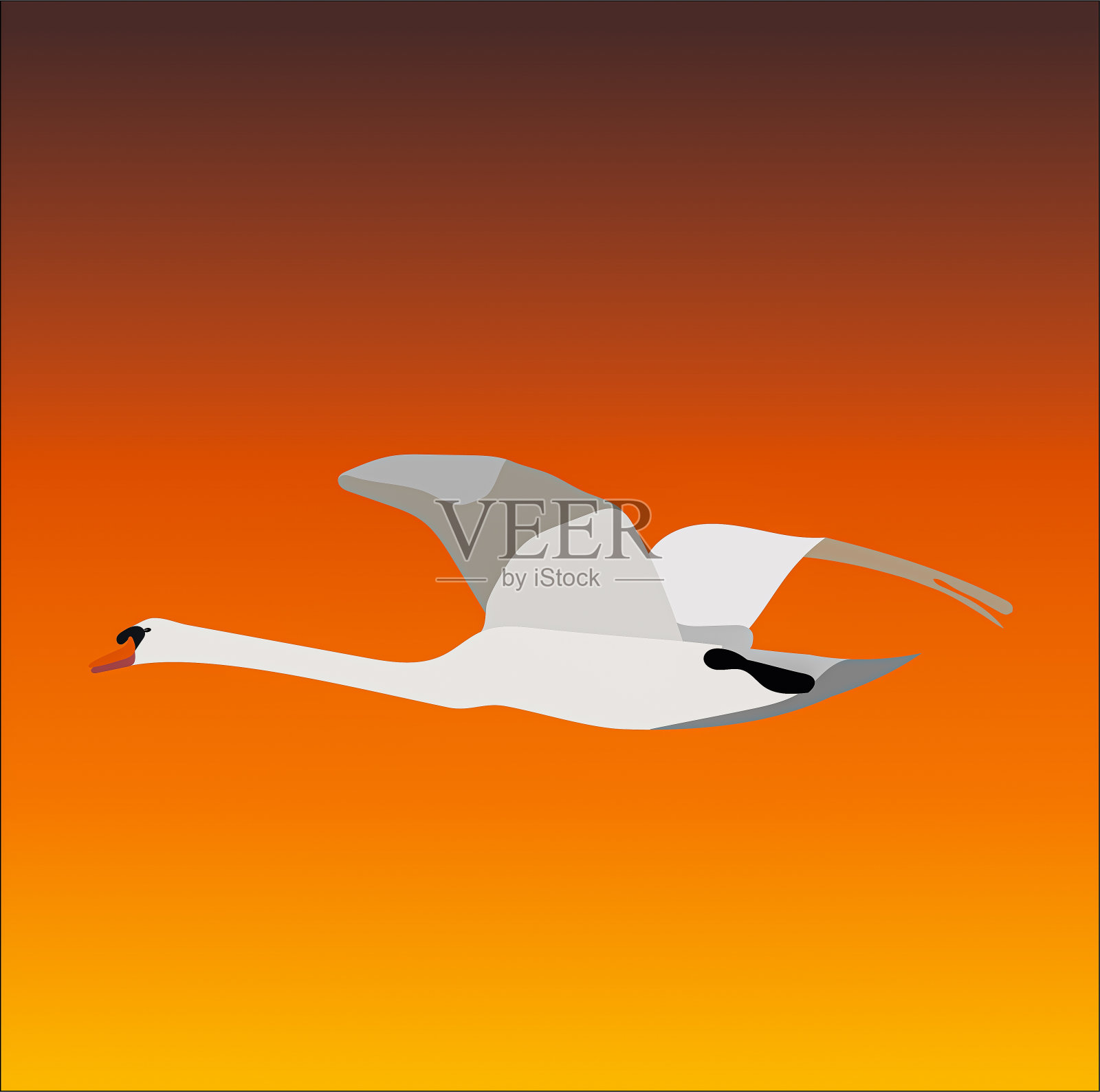 一种用作或图标的飞行疣鼻天鹅的图形插图插画图片素材