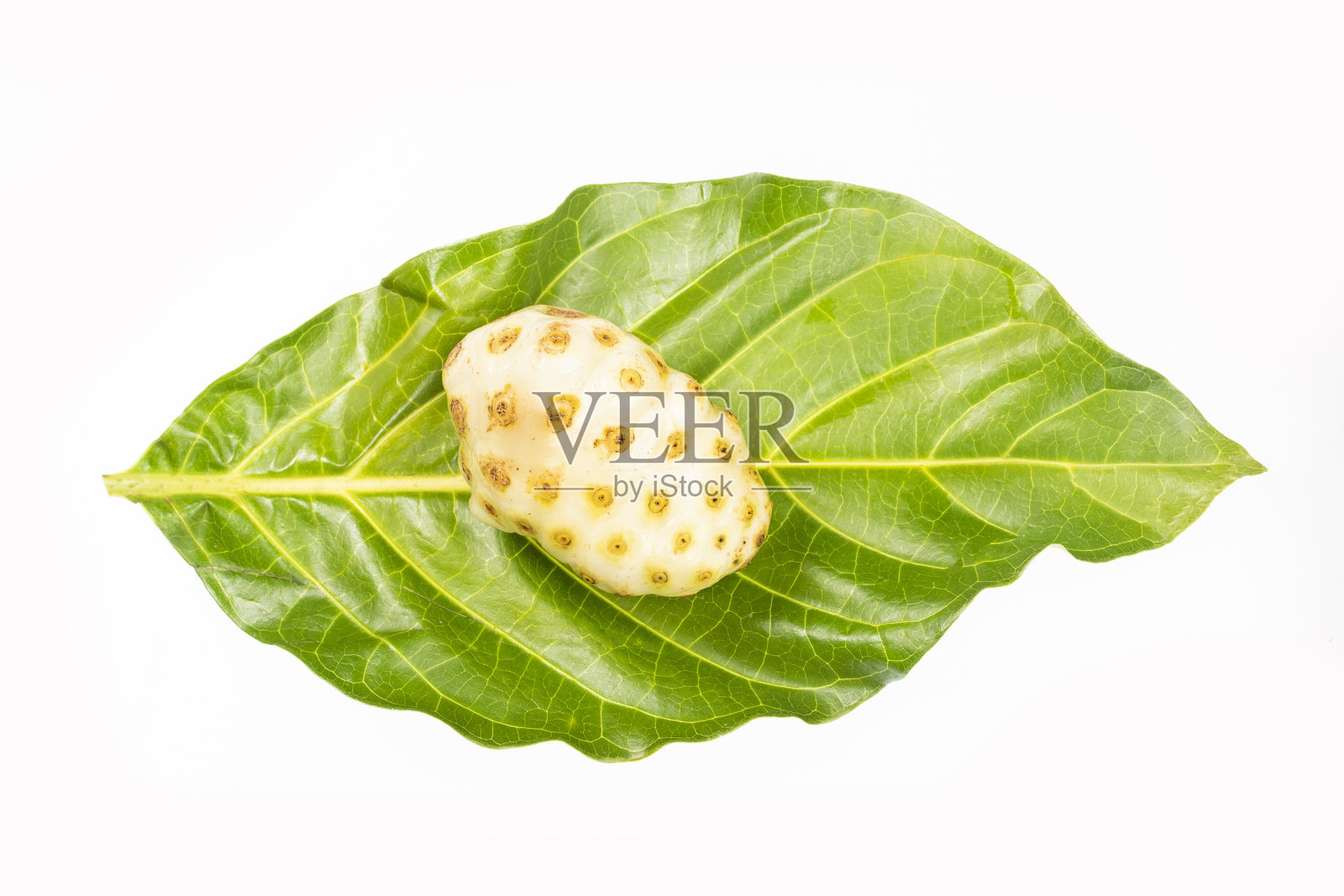 诺丽果照片摄影图片