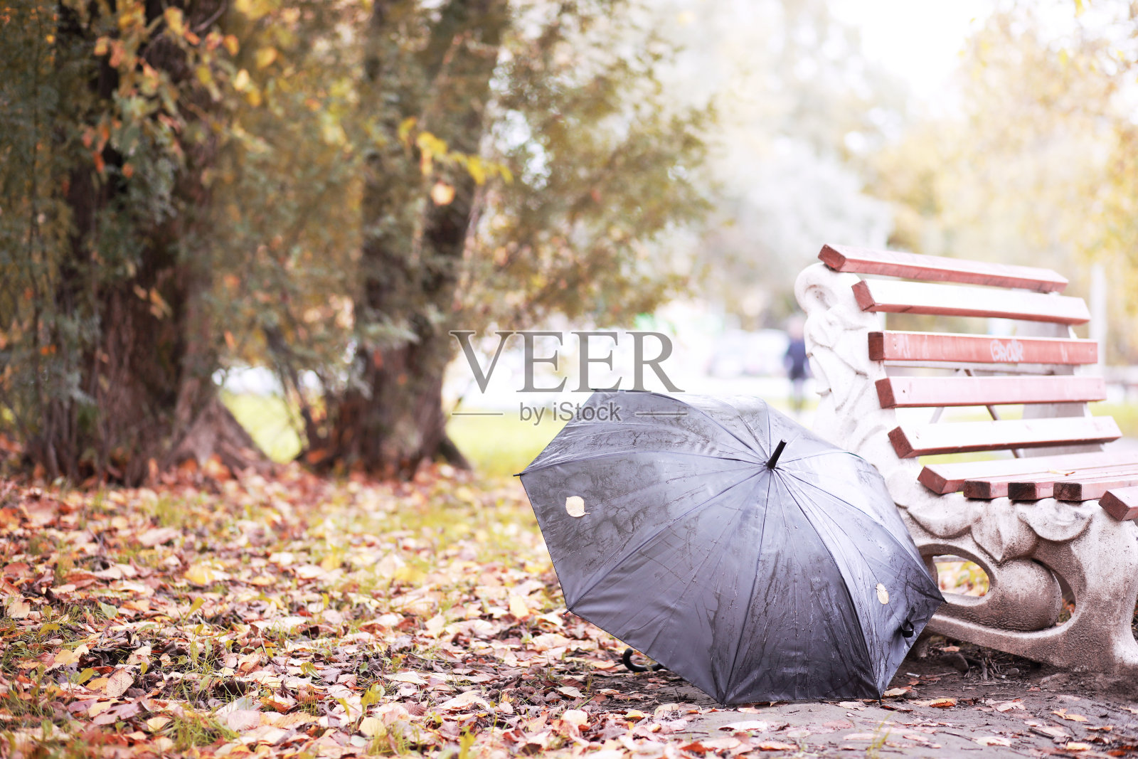 10月秋雨公园照片摄影图片