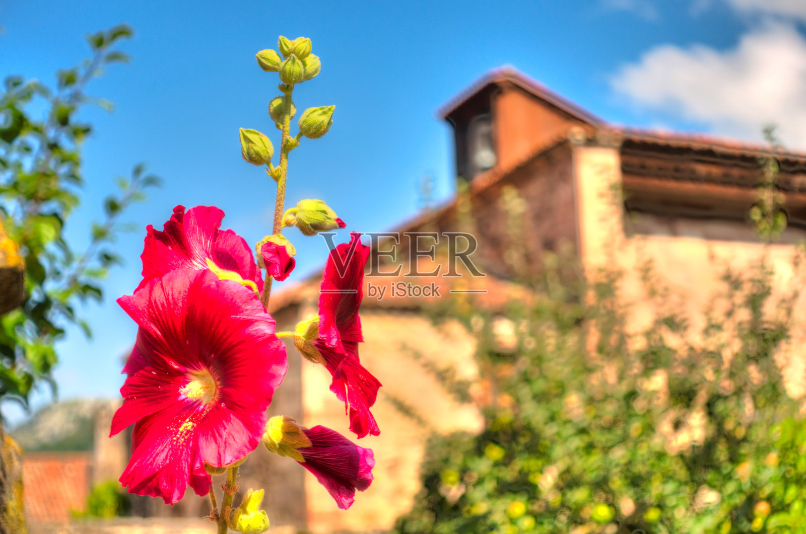 卡莫纳，西班牙坎塔布里亚风景如画的村庄照片摄影图片