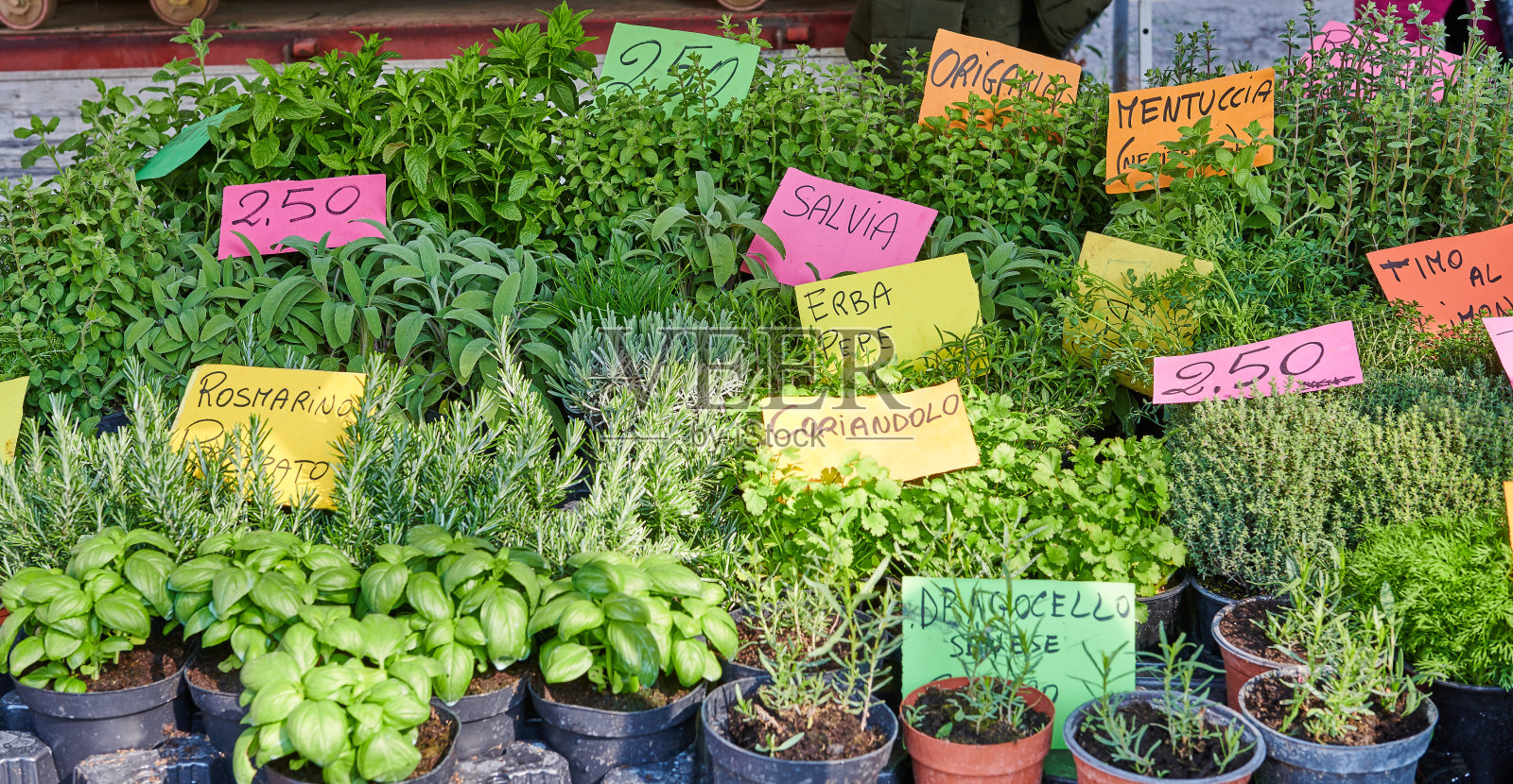 意大利锡耶纳市集上新鲜的绿色植物。照片摄影图片