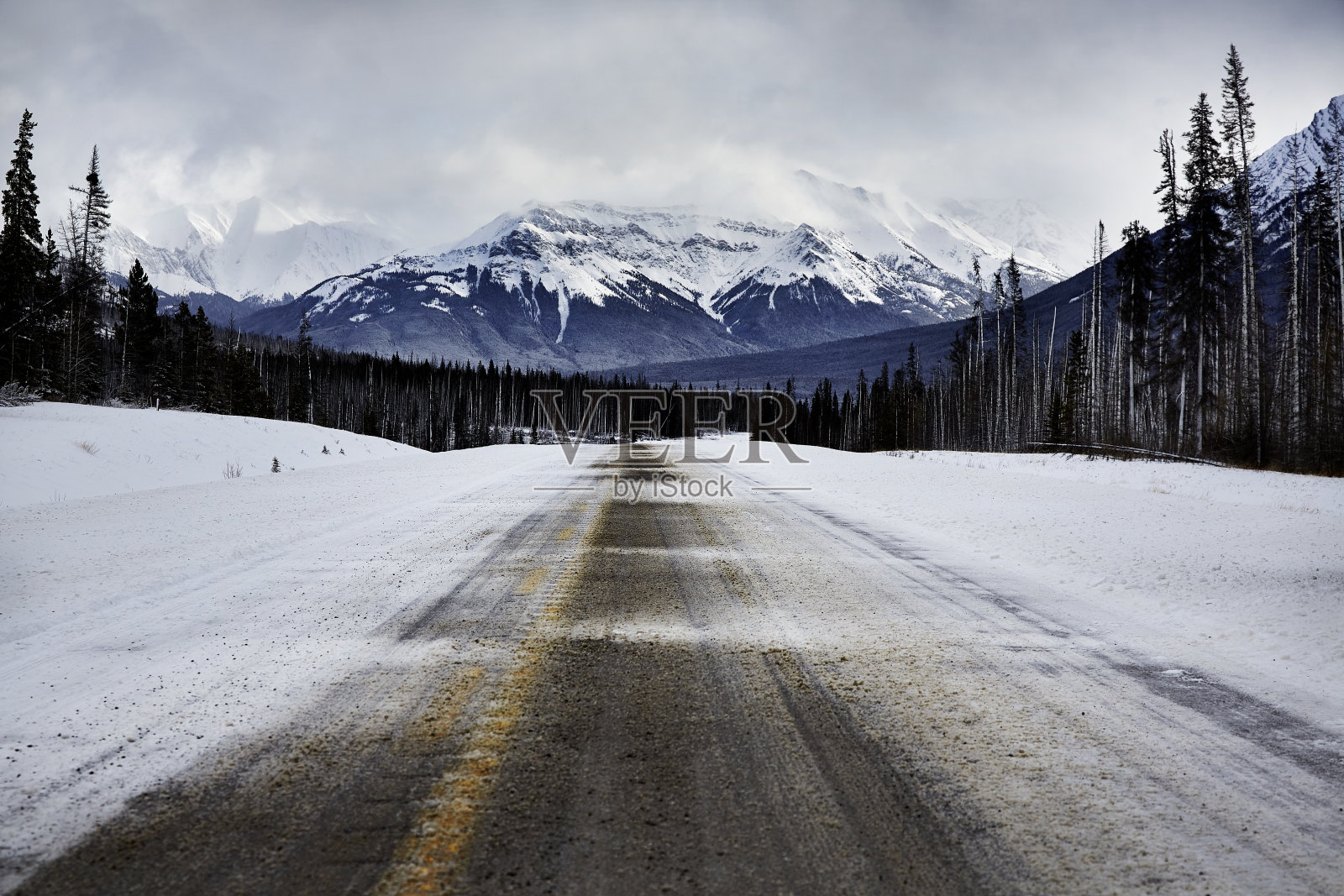 国家公园雪地里的道路照片摄影图片