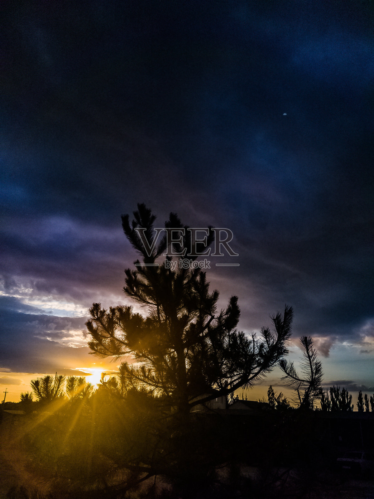 阳光过滤到树木附近的一个村舍库存照片照片摄影图片