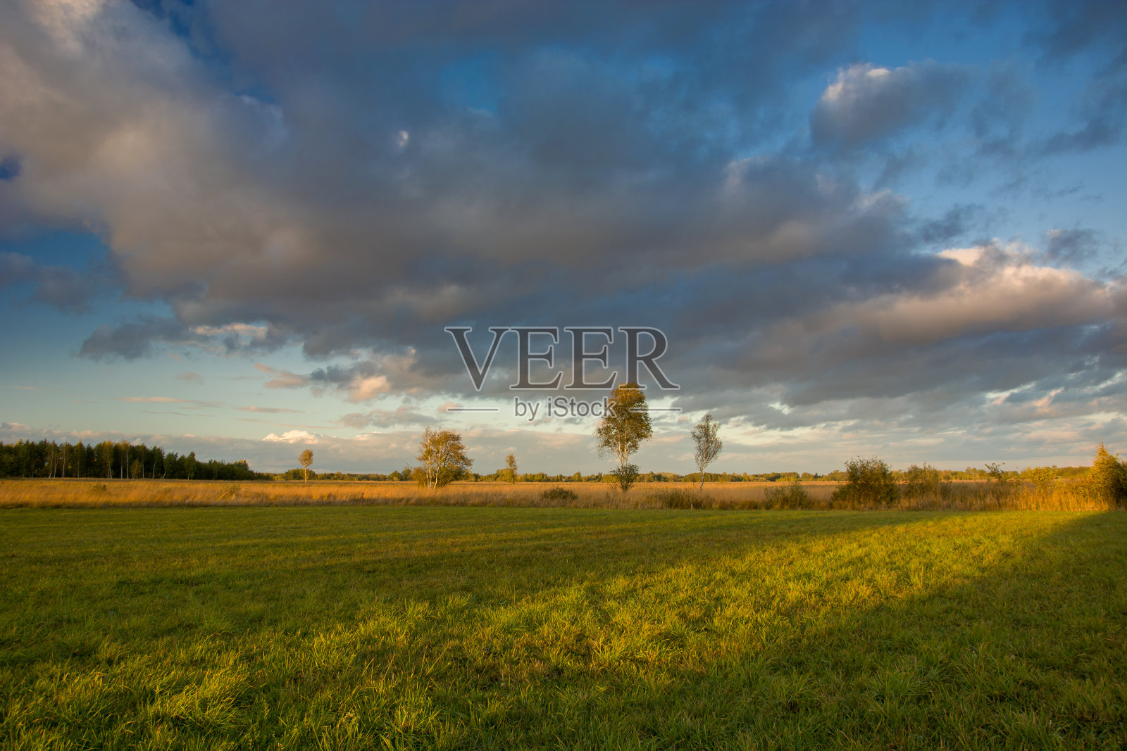 日落时，在绿色草地、云朵和天空上的一缕阳光照片摄影图片