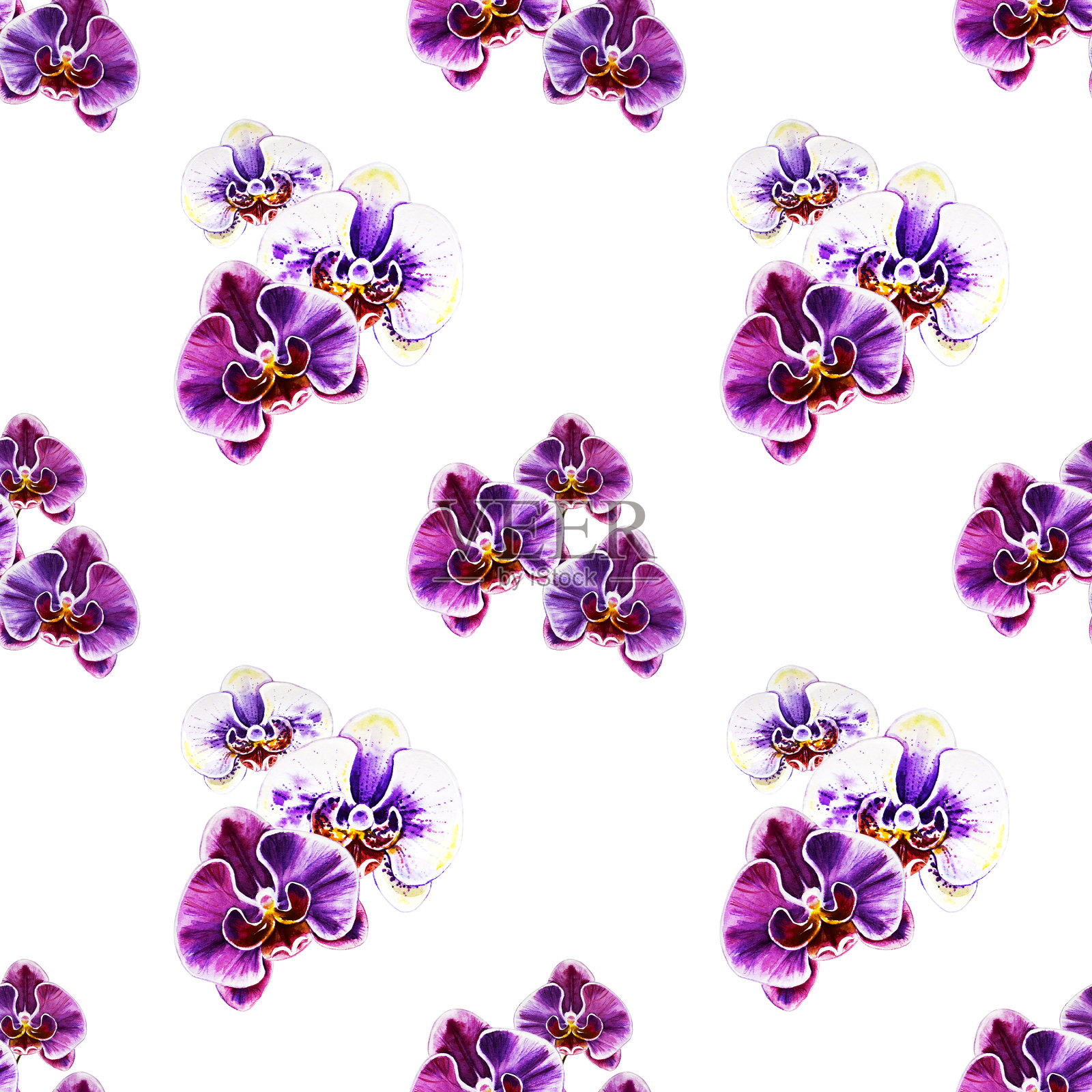 从鲜艳的兰花花无缝图案。水彩画。外来植物。印花。植物成分。婚礼和生日。问候纹理。插画图片素材