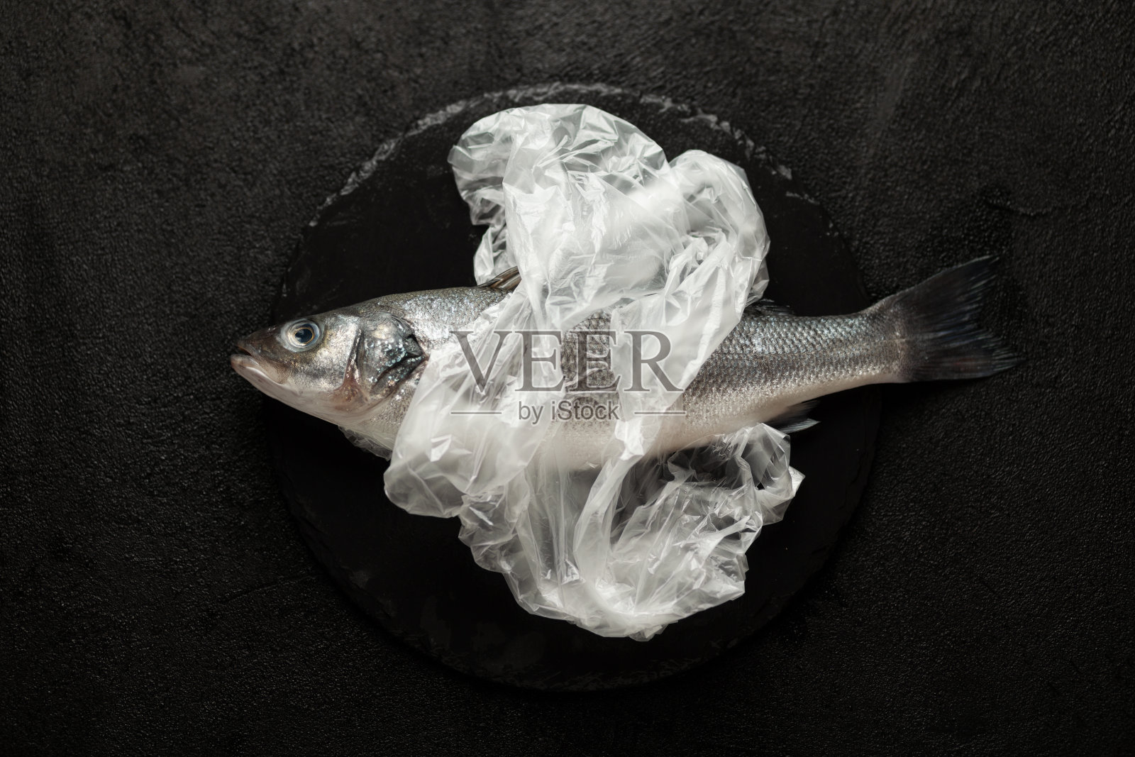 死鱼和海洋污染，塑料袋在环境中。海洋野生生物，生态系统危害照片摄影图片