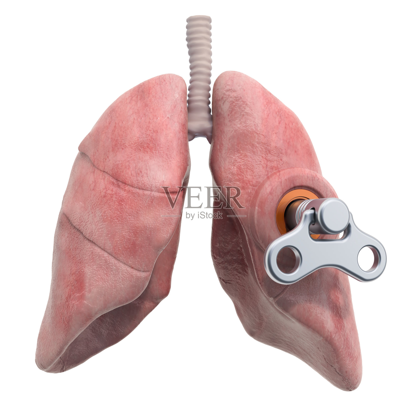 人的肺与发条键。治疗和康复的概念。3D渲染孤立的白色背景照片摄影图片