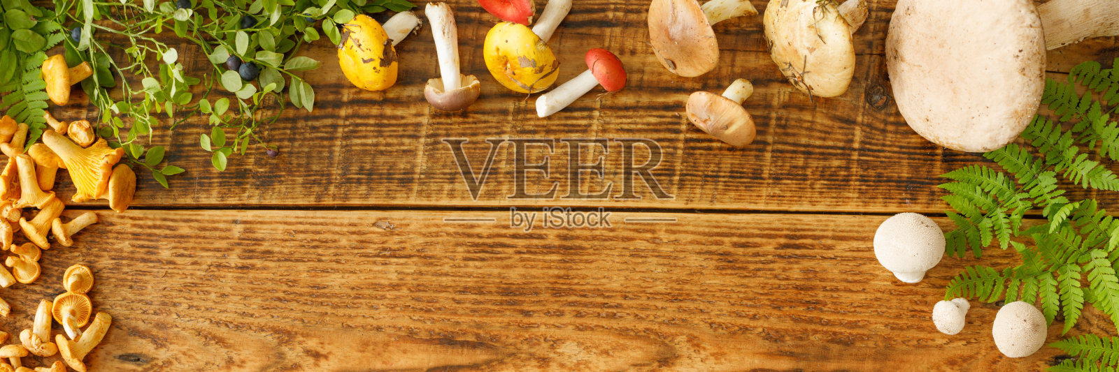 蘑菇在旧的木制背景上。卡片在秋天或夏天。森林收获。牛肝菌，鸡油菌，叶子，浆果。lay.Banner持平。照片摄影图片