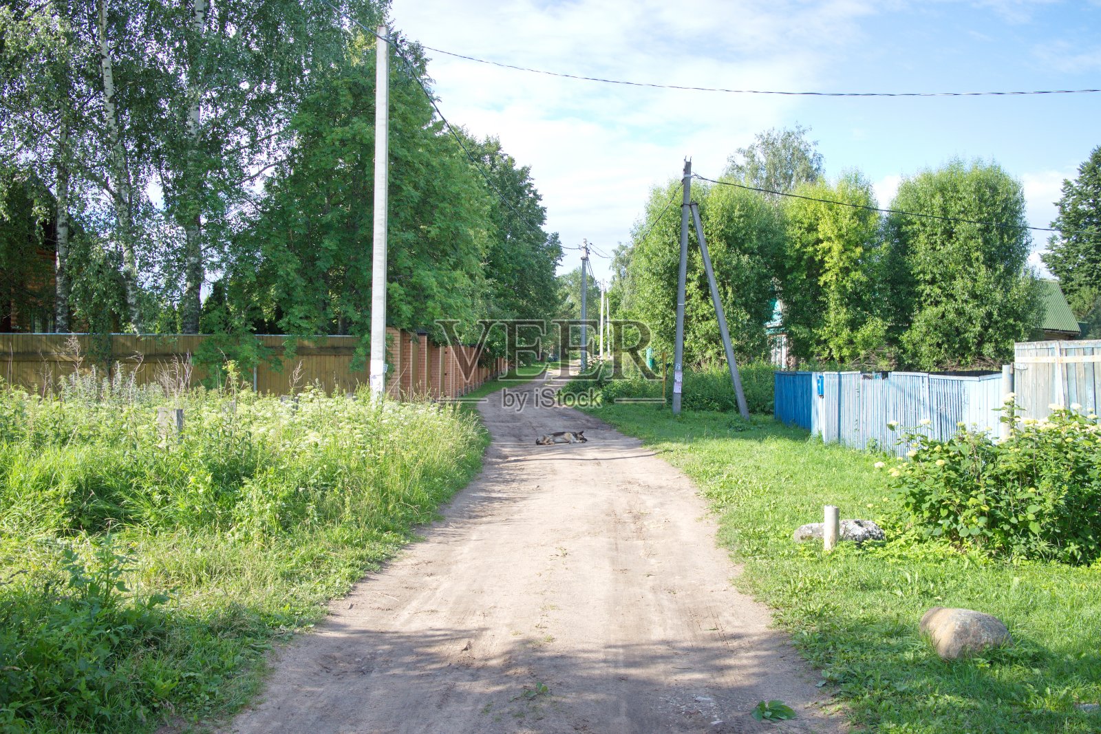 夏日里的乡间土路照片摄影图片