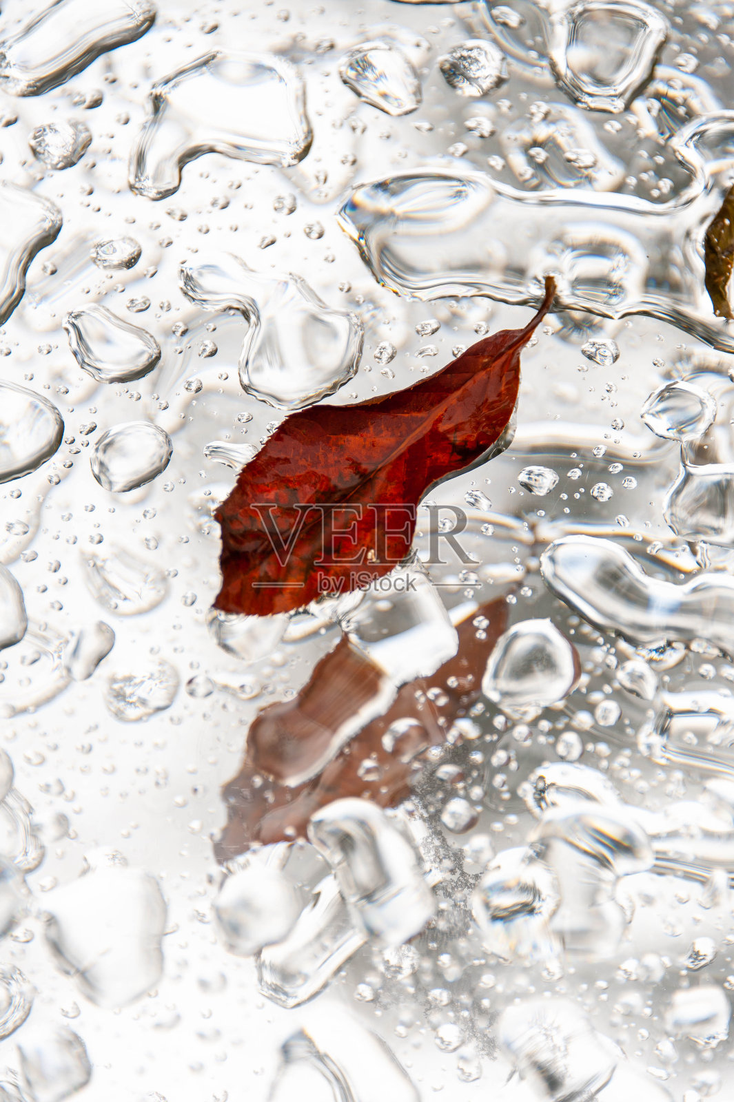 镜子上的叶子被雨淋湿了照片摄影图片