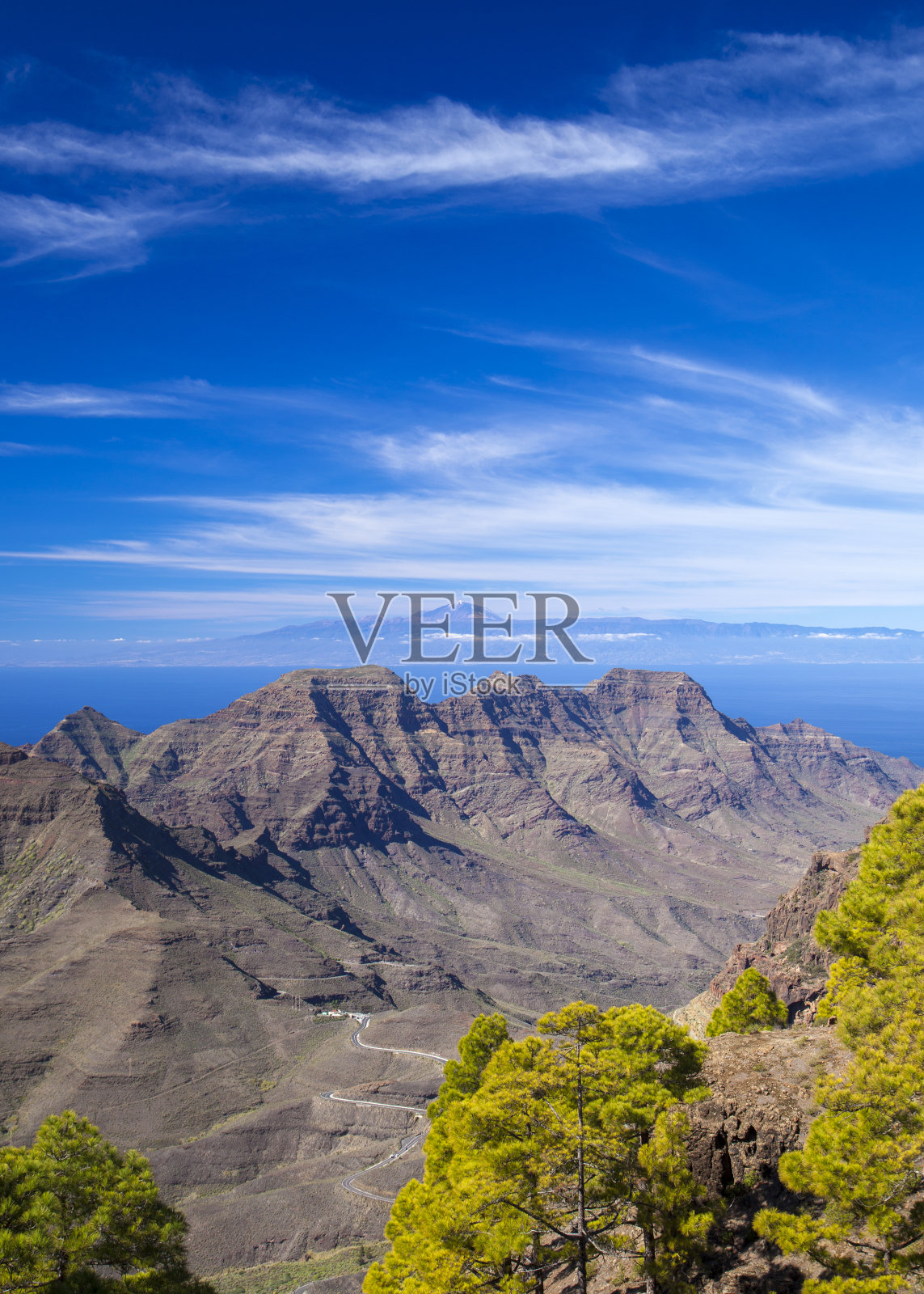 2018年11月，加纳利岛，从严格的自然保护区伊瓜到圭圭大规模照片摄影图片