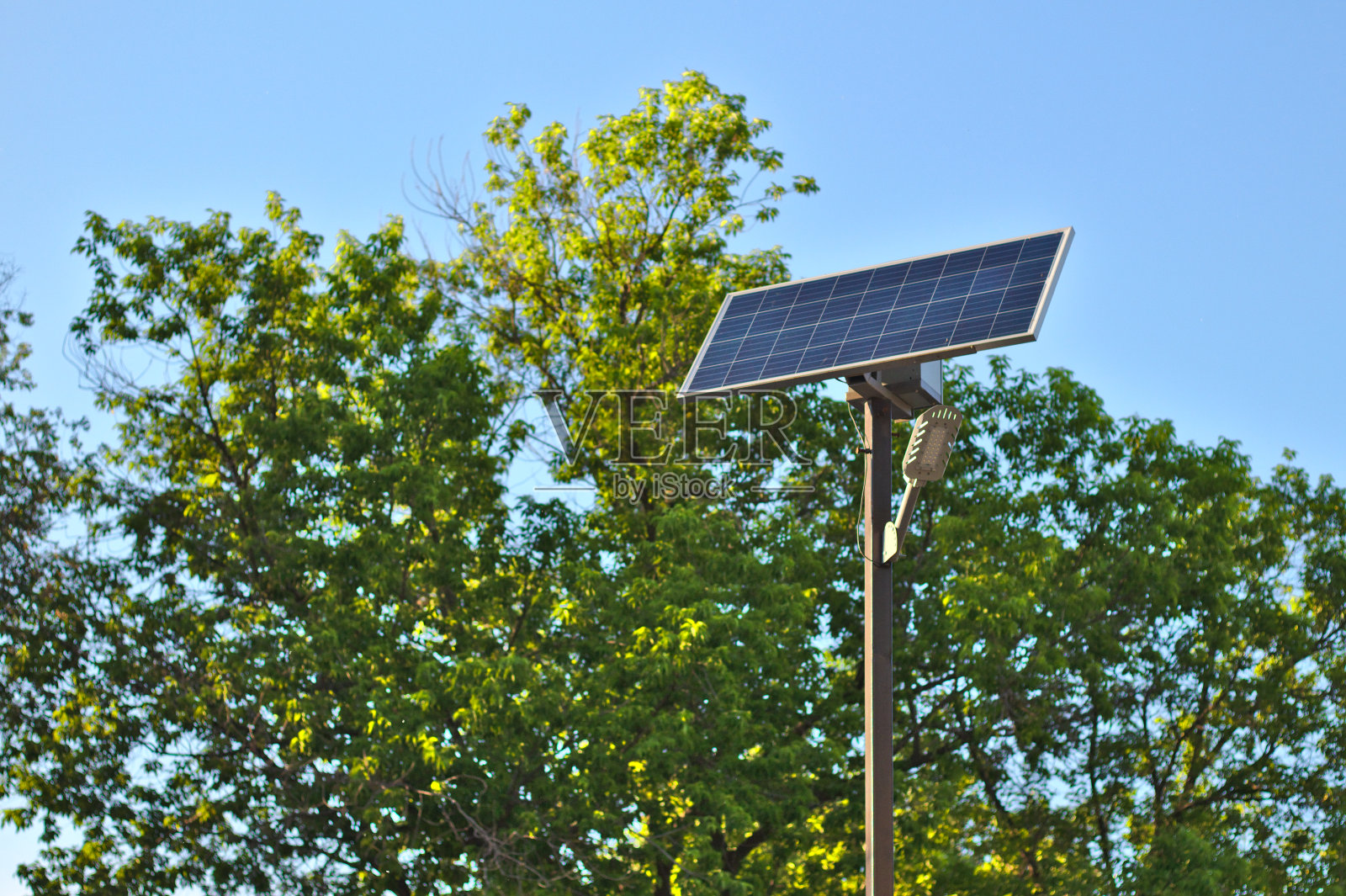路灯与太阳能电池对抗的蓝天和树木照片摄影图片