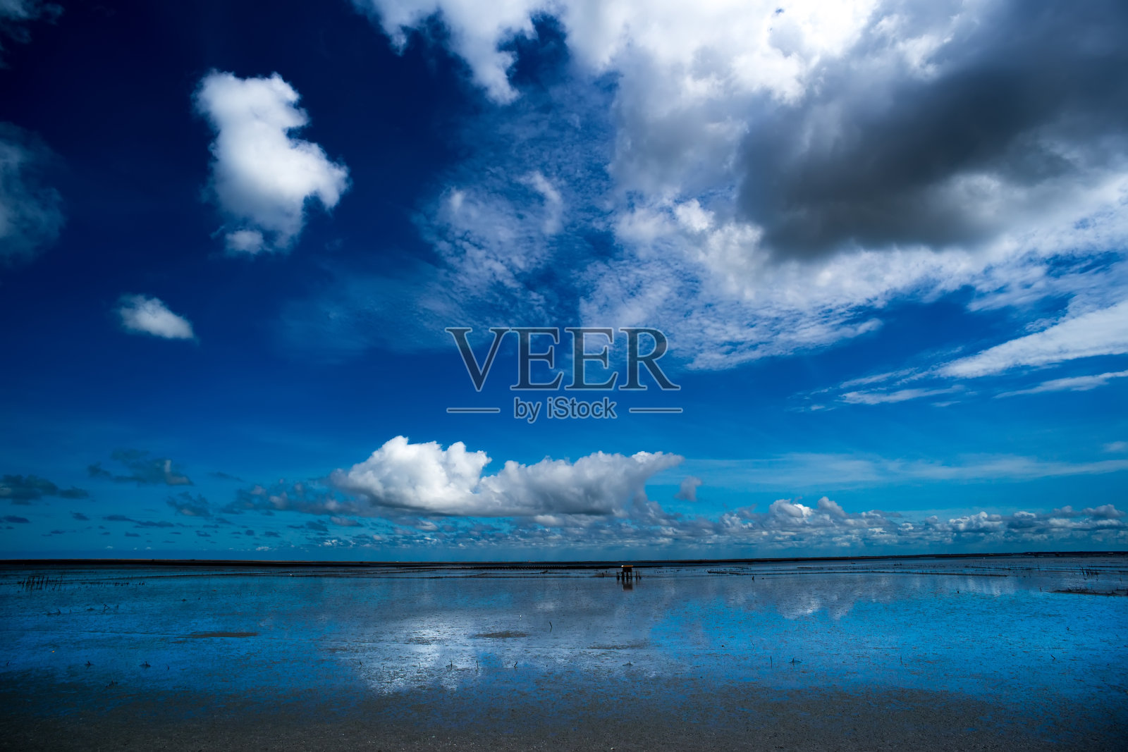 海景贝类养殖场在海里。照片摄影图片