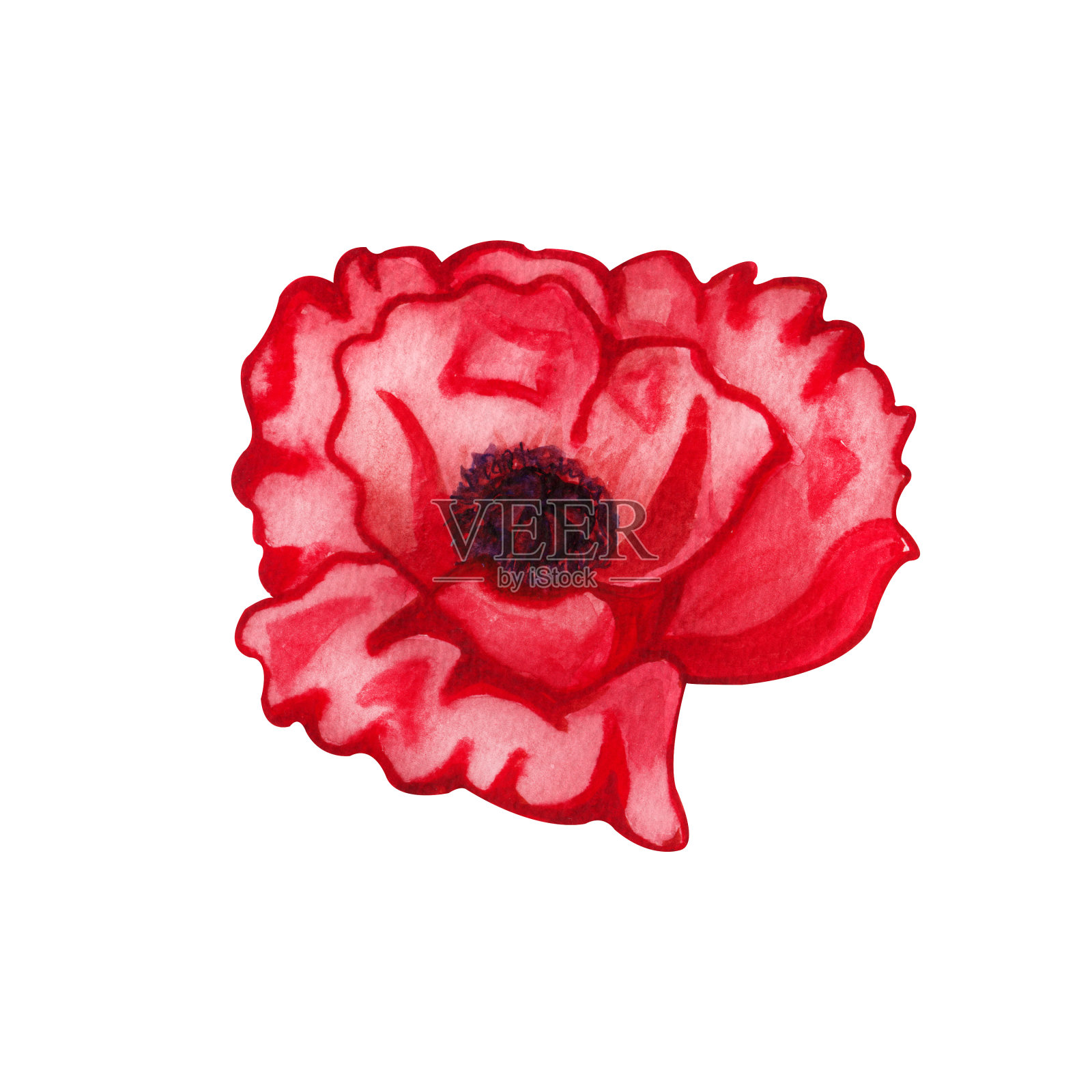 水彩手绘红色罂粟花。单一抽象的大红色野花。红色的花瓣。插图邀请，卡片，设计插画图片素材