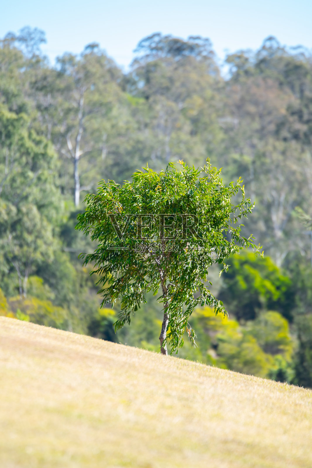大学,伊普斯维奇照片摄影图片