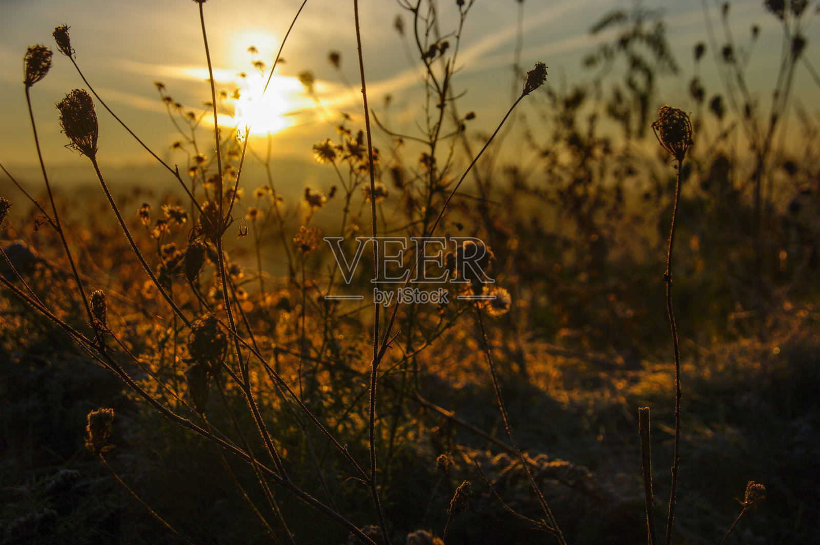 寒冷的日出照片摄影图片