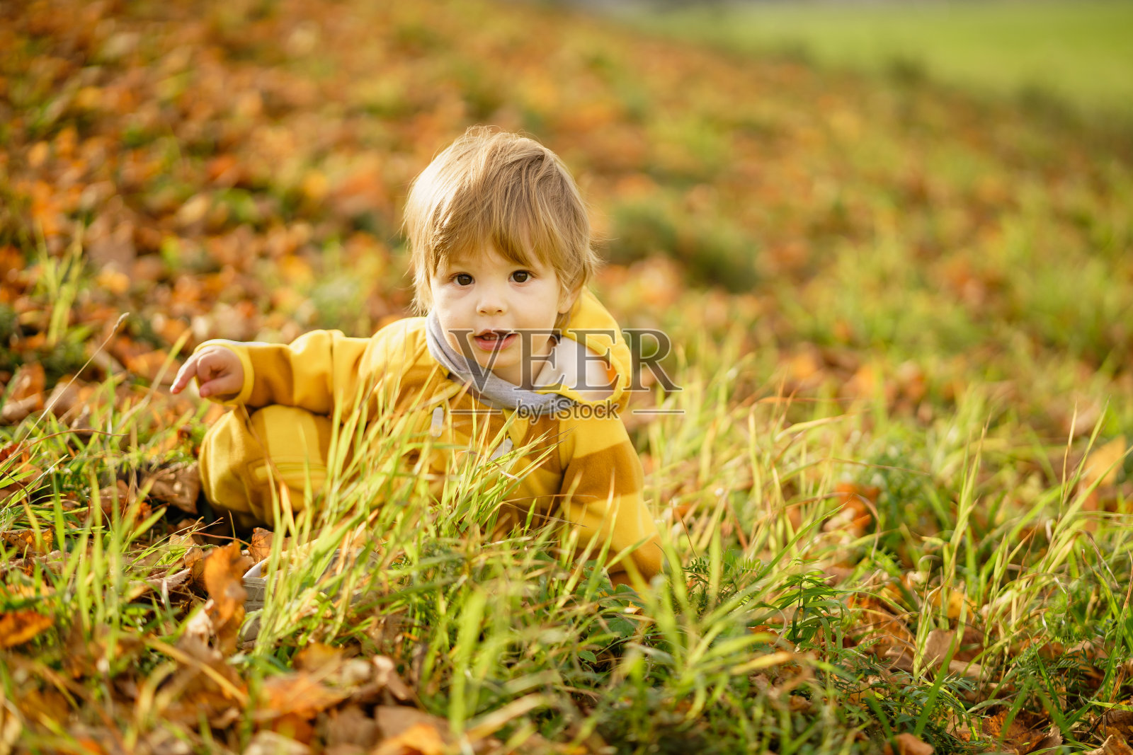 快乐的小男孩在秋天的自然公园里嬉笑玩耍照片摄影图片