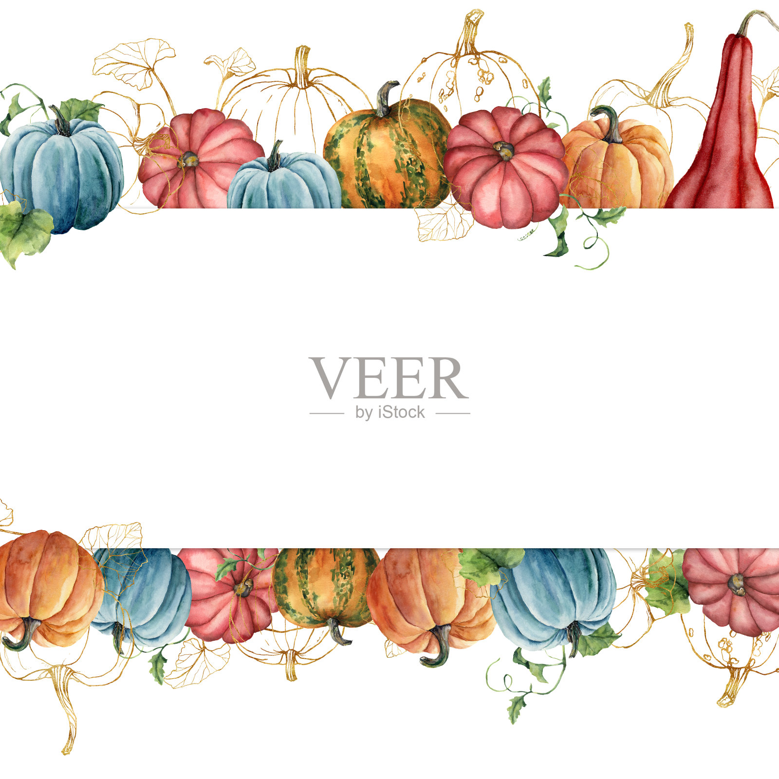 水彩横幅与金色南瓜组成。手绘边界与葫芦和树叶孤立在白色的背景。植物插图秋季节日，设计，印刷或背景。插画图片素材