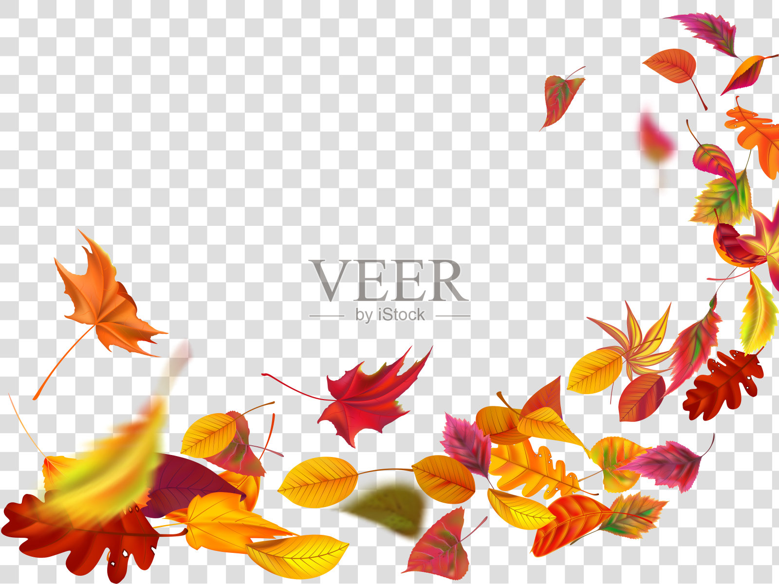 秋天的落叶。叶落，风起秋叶与黄叶孤立矢量插图插画图片素材