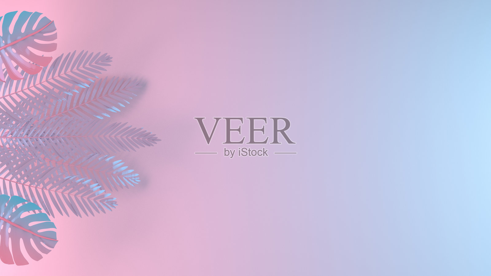 粉红色和蓝色的热带棕榈叶。简约超现实的夏日背景。照片摄影图片