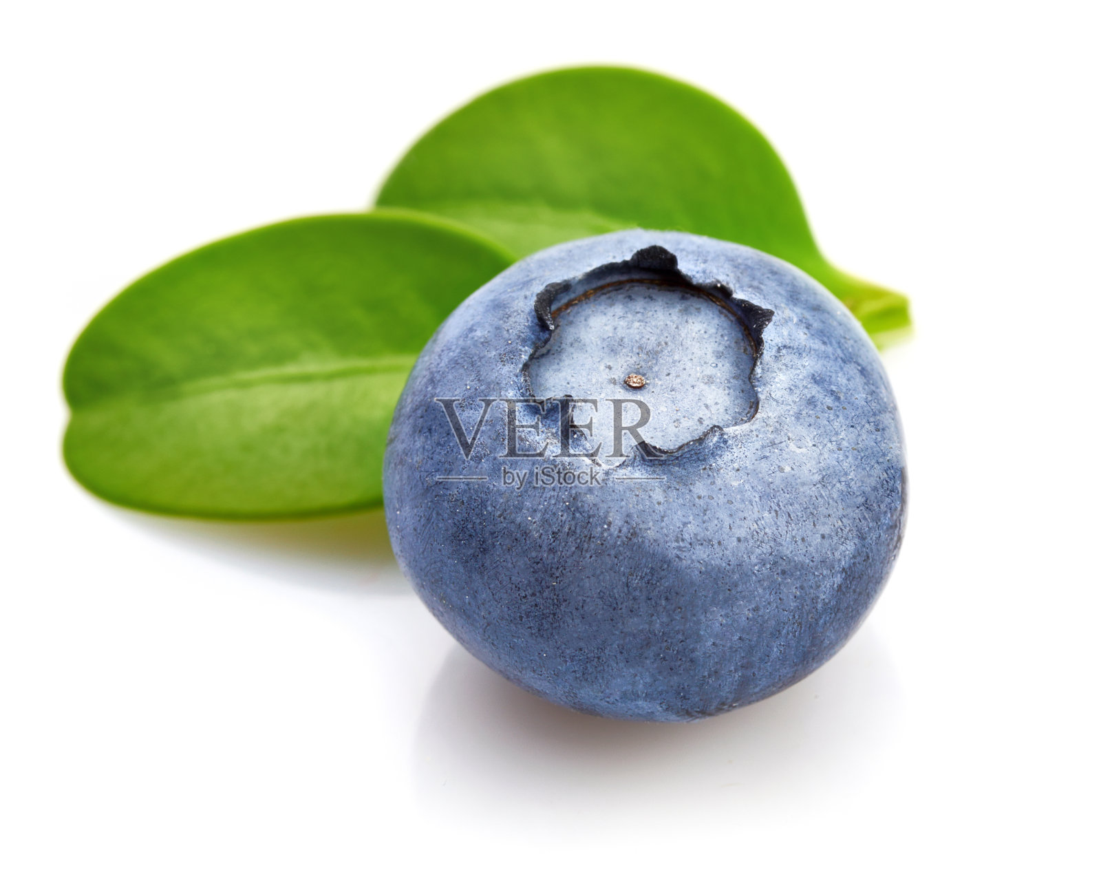 浆果、蓝莓和薄荷味照片摄影图片