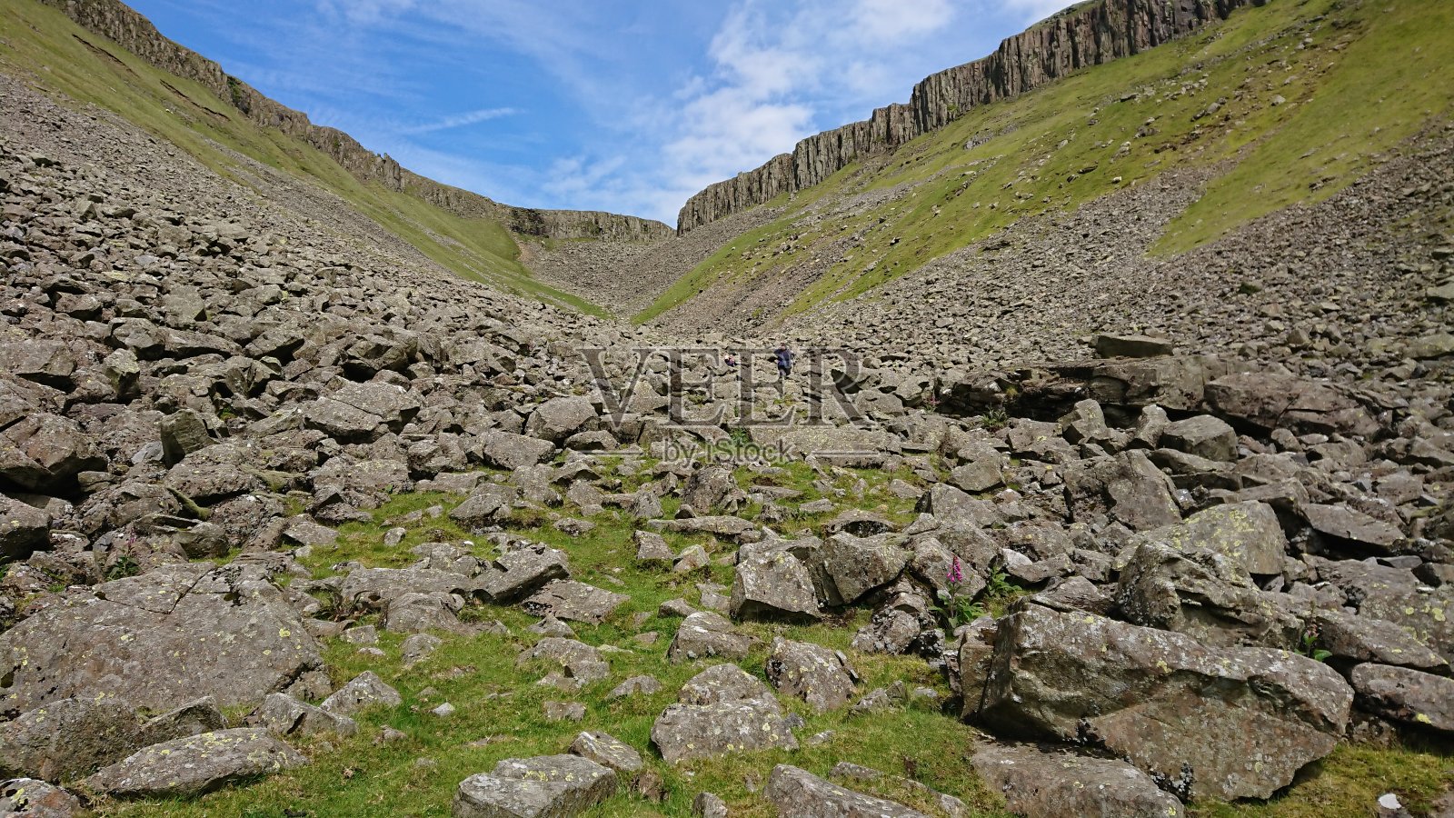 山谷的高杯尼克照片摄影图片