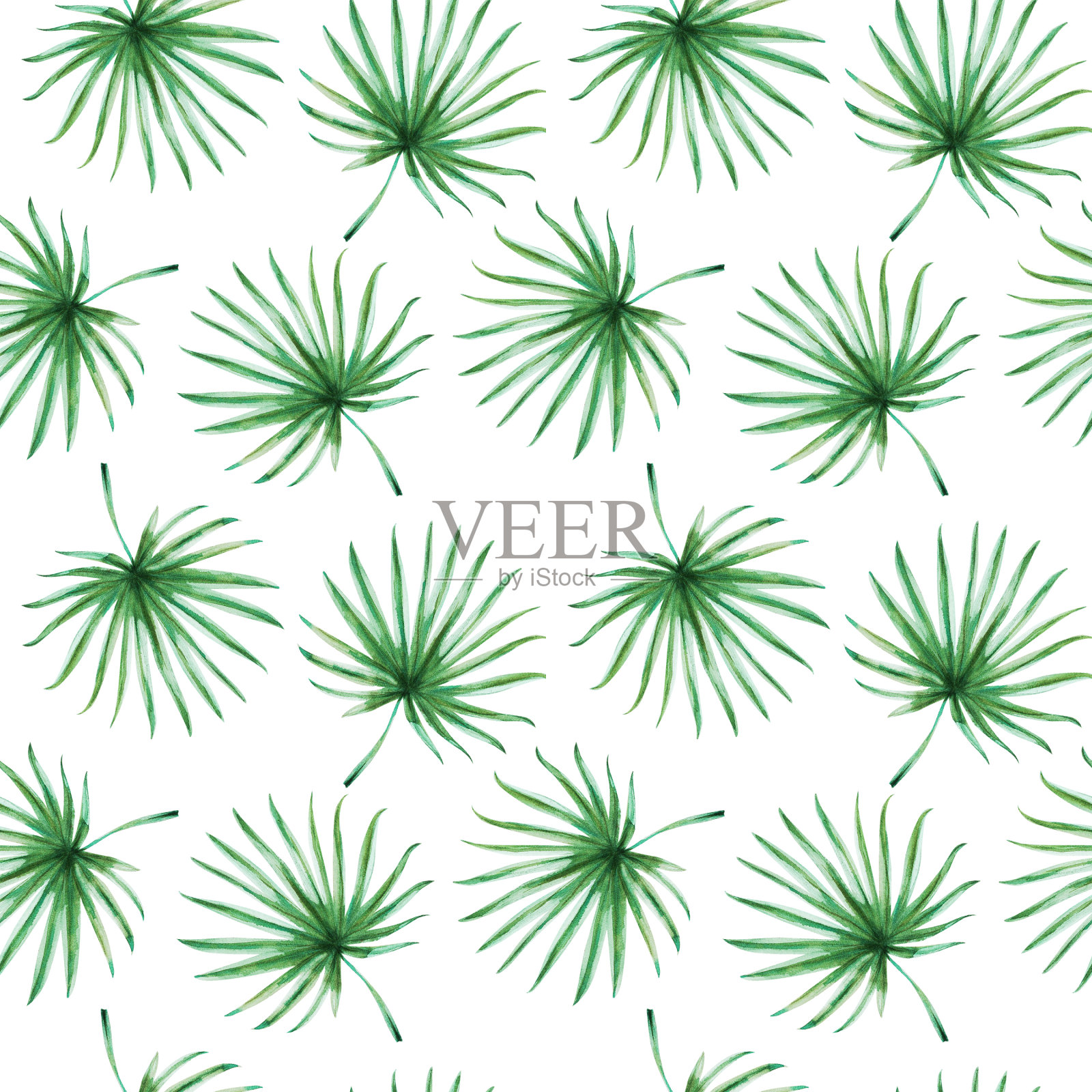 热带树叶的无缝图案。手掌。水彩画。外来植物。自然的打印。草图。插画图片素材