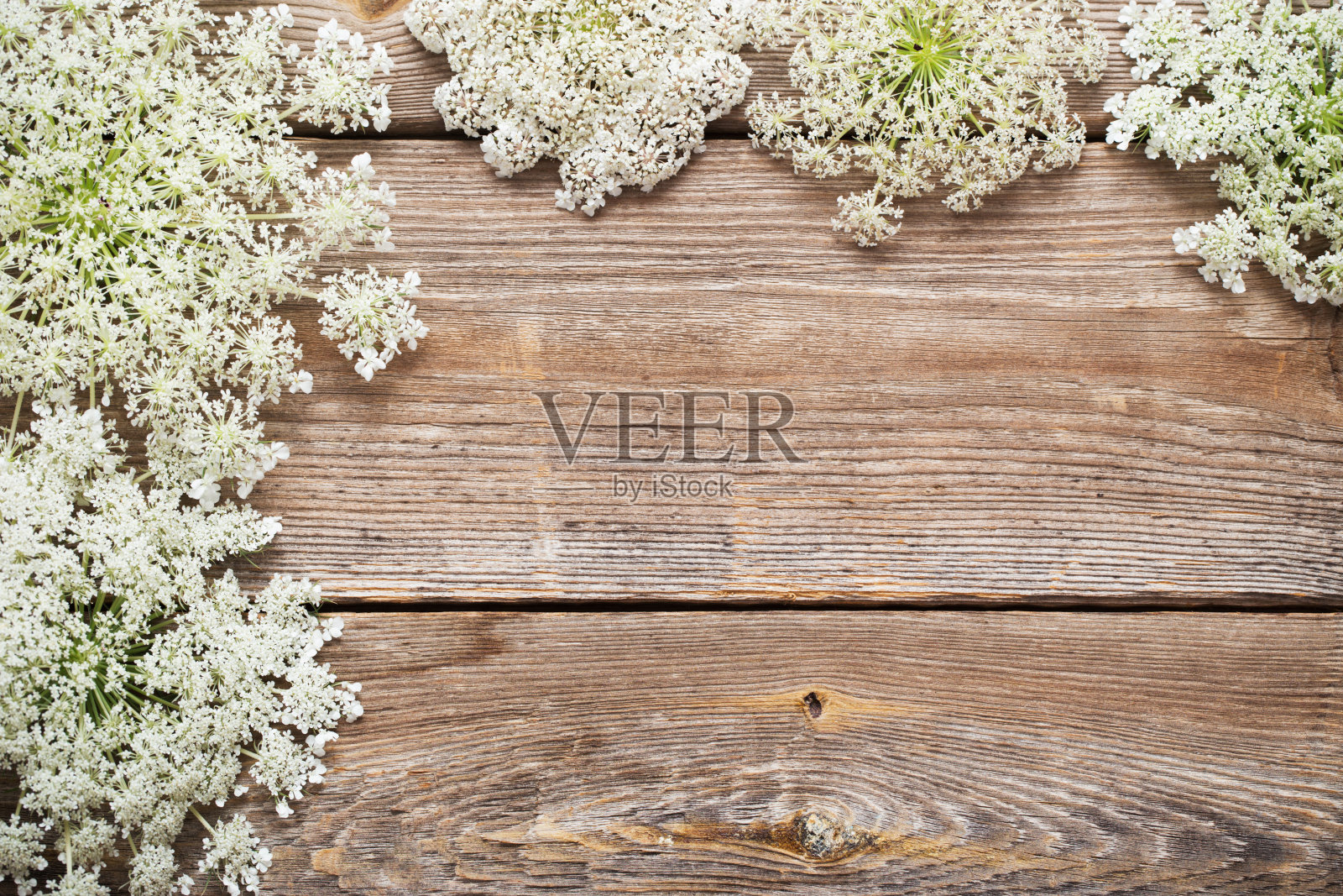 古老的木质背景上点缀着白色的野花照片摄影图片