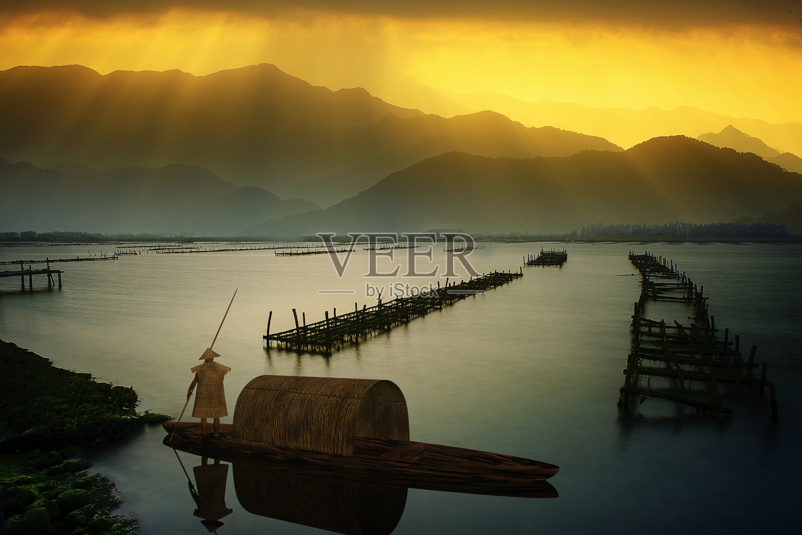 生长中的竹叶框架在森林或纹理背景与良好的光线照片摄影图片