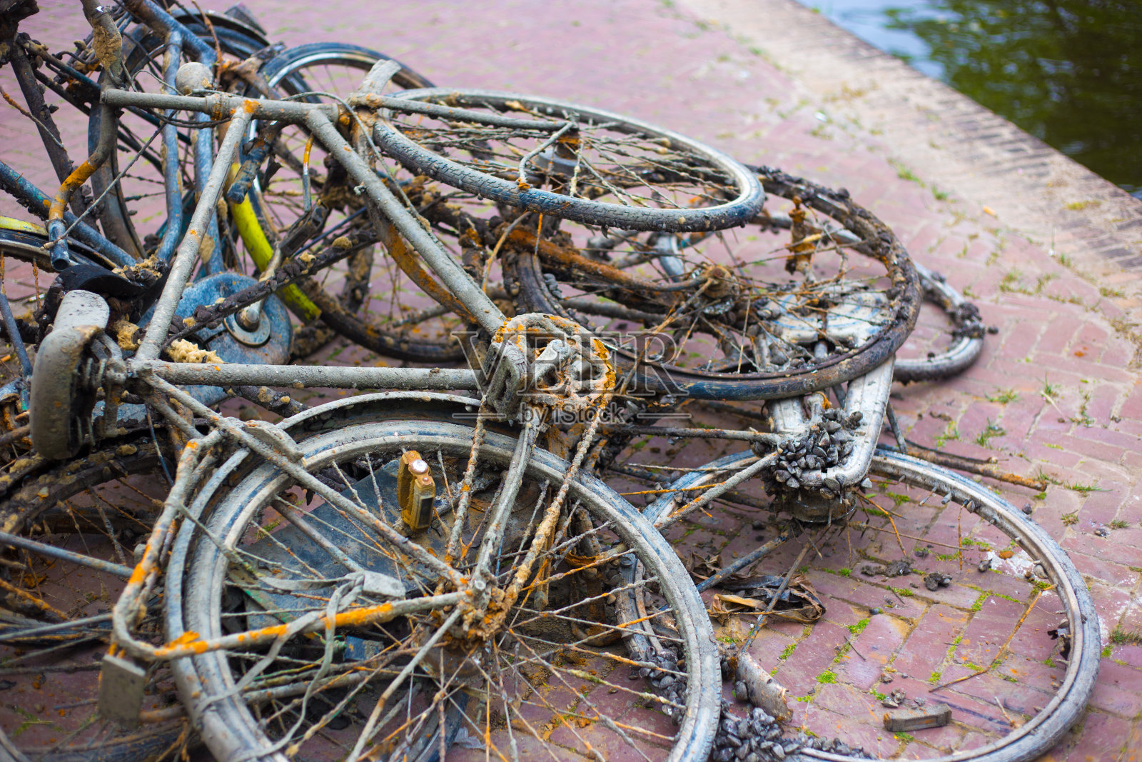 荷兰:运河附近荒废的、泥泞的、生锈的旧自行车照片摄影图片