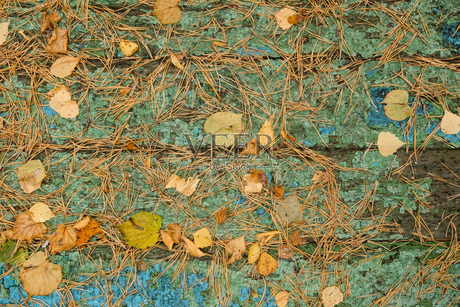 秋天背景照片摄影图片