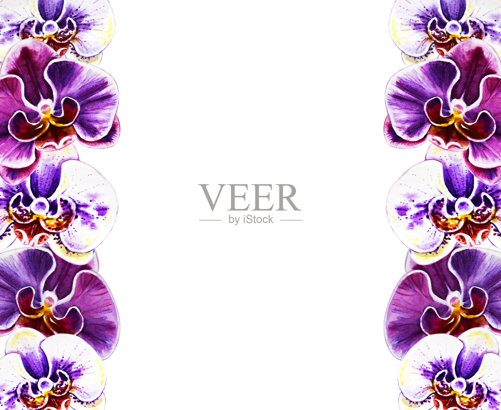 美丽的框架从鲜艳的兰花花。水彩画。外来植物。印花。植物成分。婚礼和生日。贺卡。插画图片素材