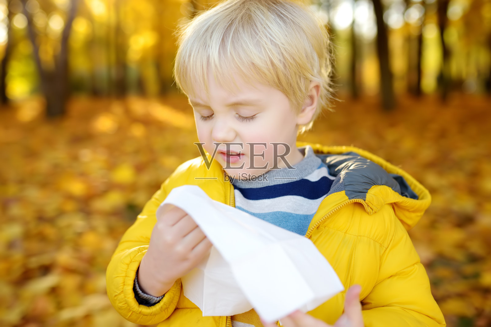 小男孩在秋天公园散步，打喷嚏，用餐巾擦鼻子。流感季节和感冒鼻炎。过敏的孩子。照片摄影图片