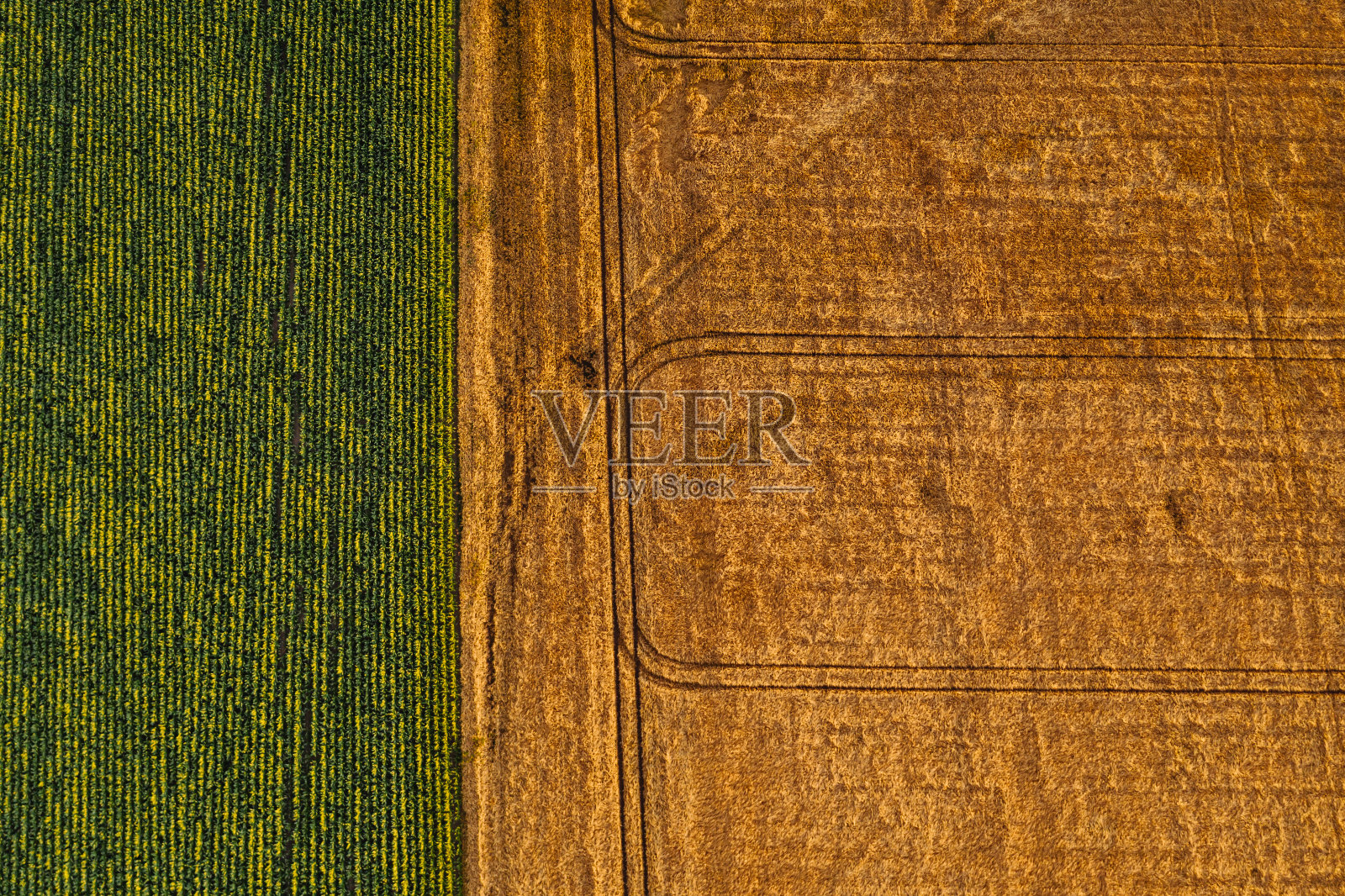 无人机拍摄的农田。照片摄影图片