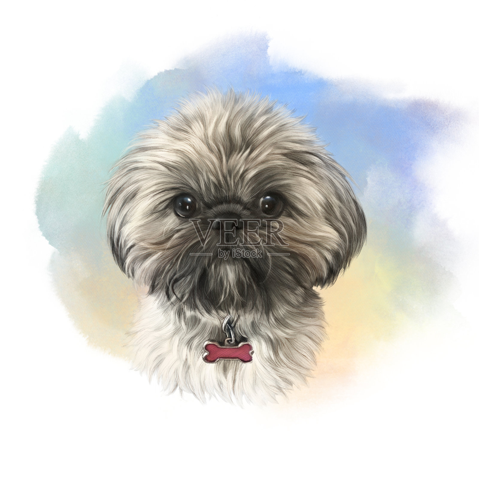 西施犬的狗设计元素图片