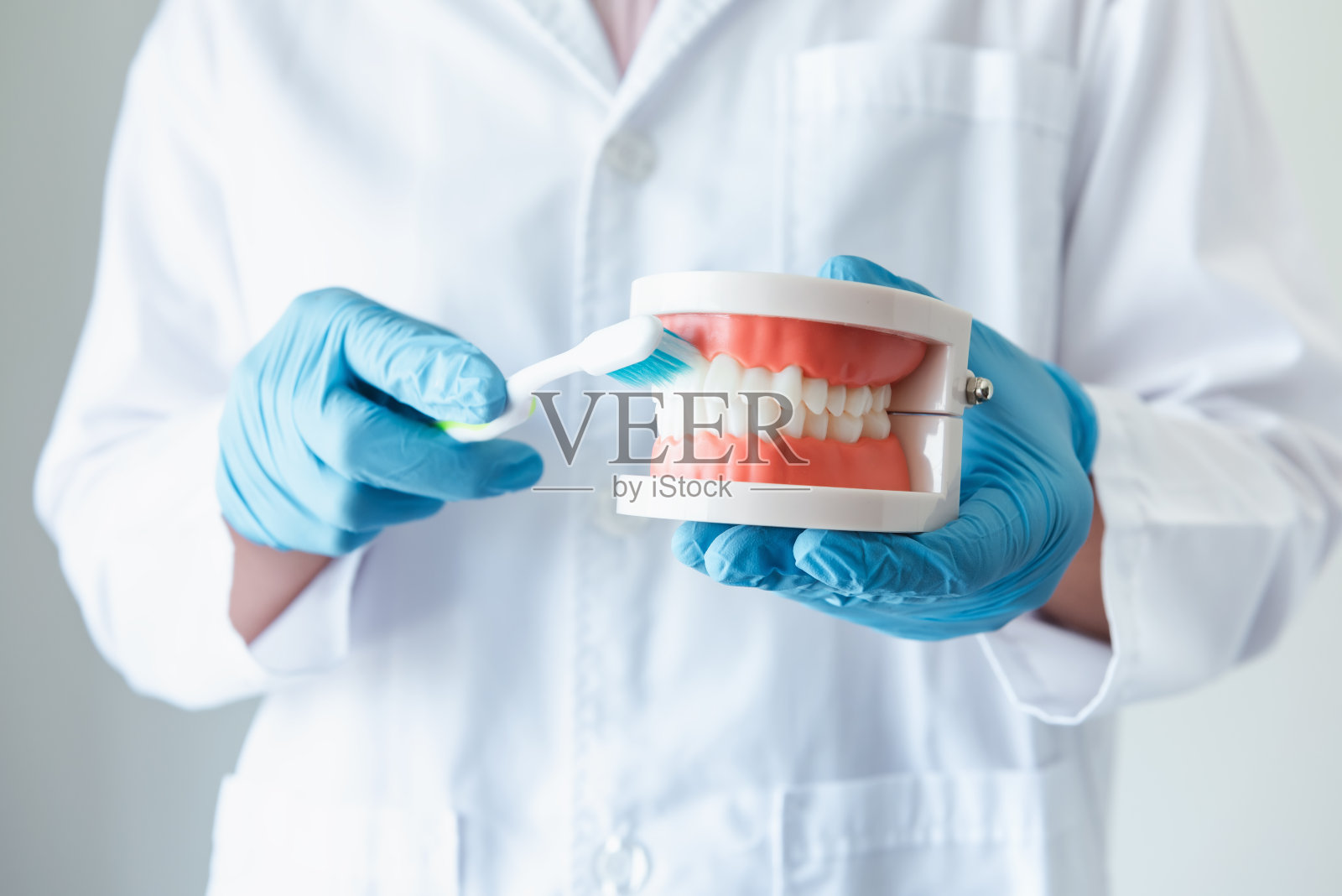 牙科正畸医生展示牙刷和颌模型的特写，指导如何清洁牙齿的病人，保健和牙医的职业概念照片摄影图片