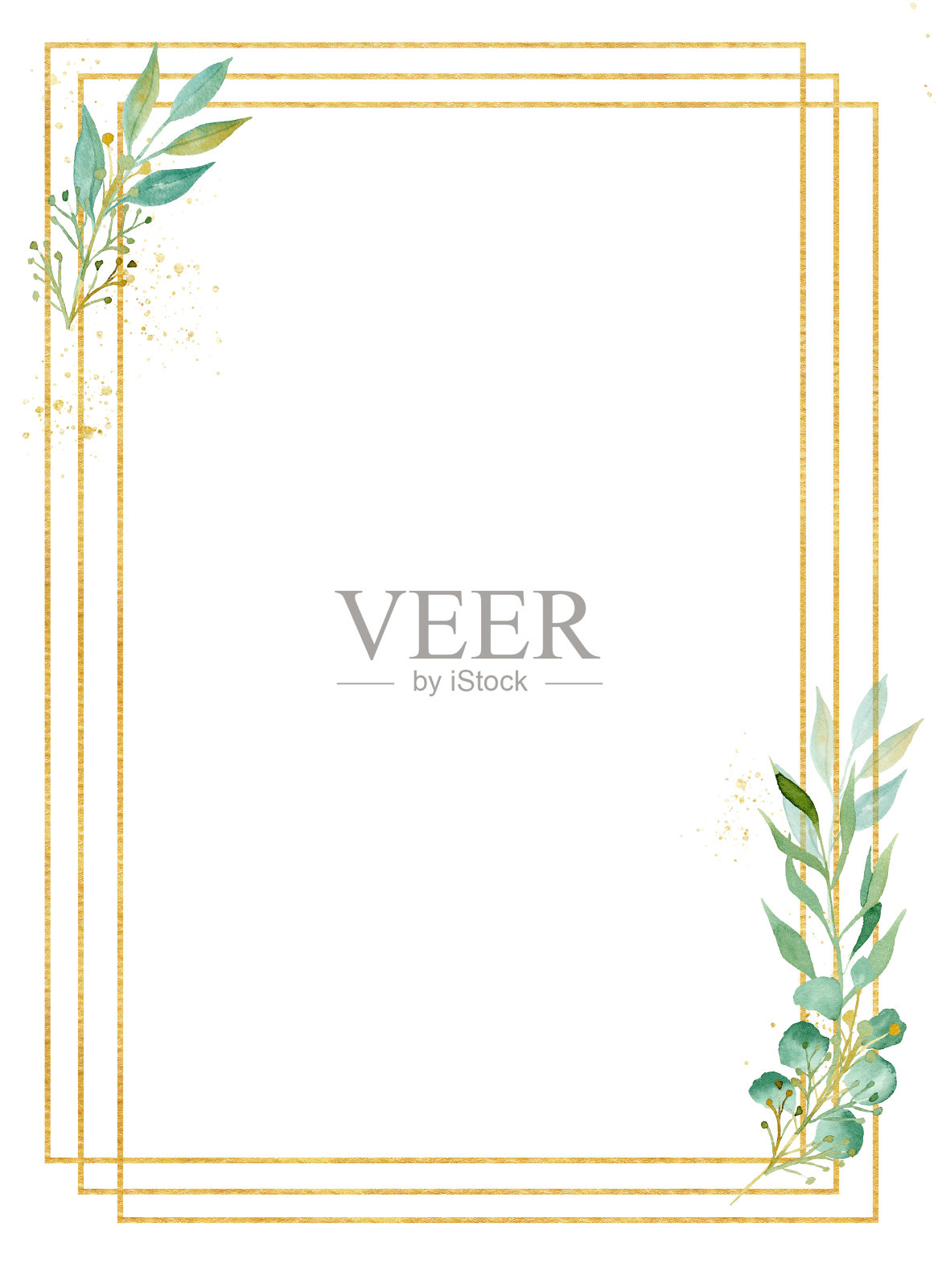 植物广场装饰框架水彩栅格插图照片摄影图片