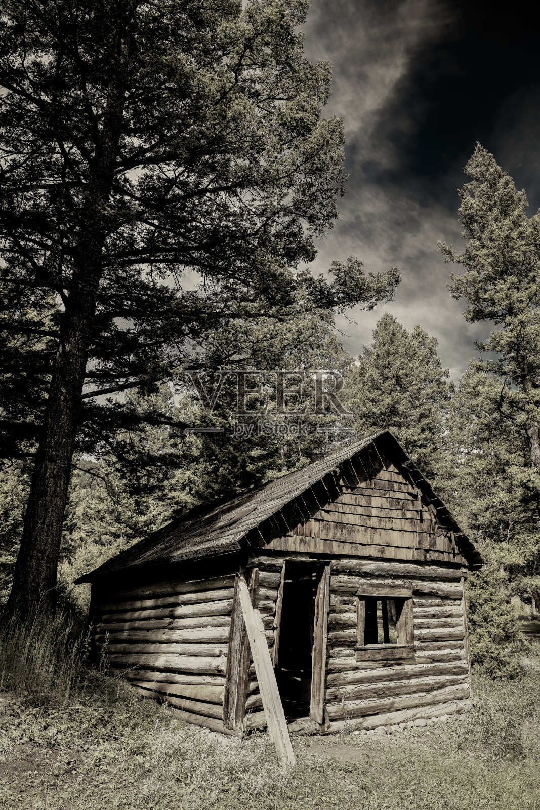 爱达荷州偏远山区的一间古朴的勘探者小屋照片摄影图片